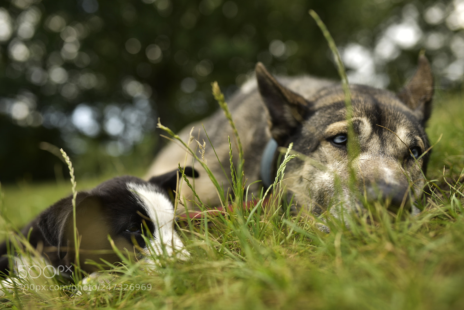 Sigma 35mm F1.4 DG HSM Art sample photo. Dsc photography