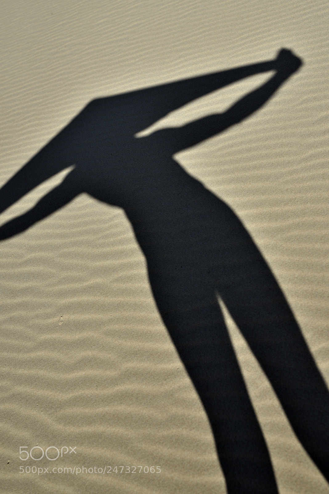 Nikon D750 + Sigma 35mm F1.4 DG HSM Art sample photo. Dsc photography