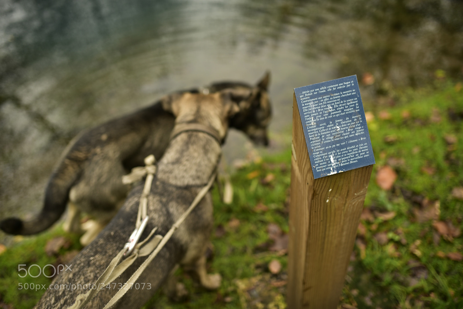 Nikon D750 + Sigma 35mm F1.4 DG HSM Art sample photo. Dsc photography