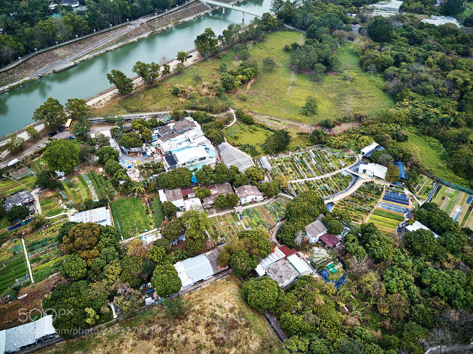 DJI FC220 sample photo. Sheung shui photography