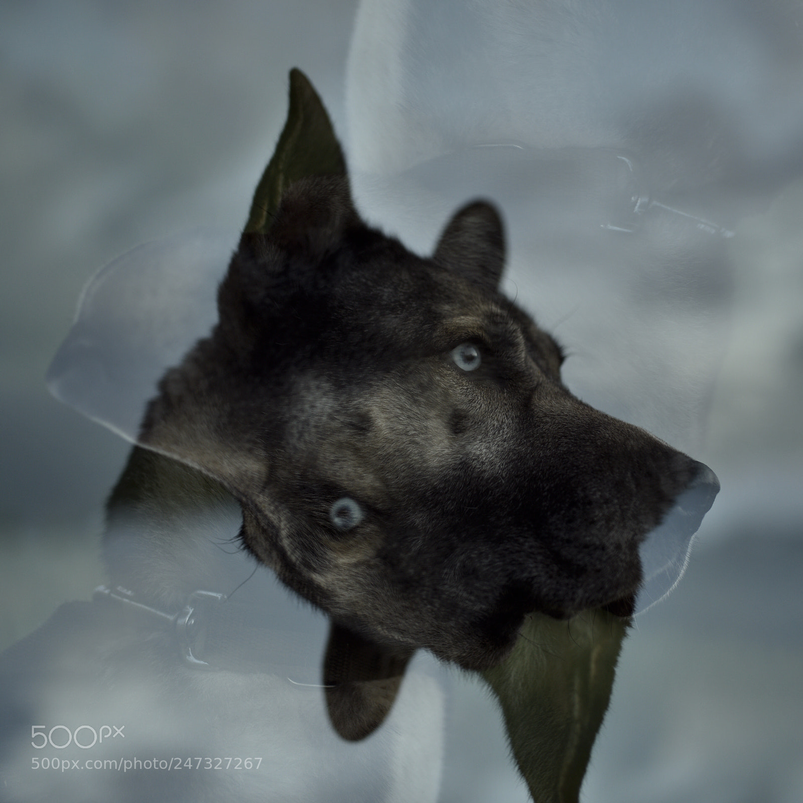 Nikon D750 + Sigma 35mm F1.4 DG HSM Art sample photo. Dsc photography