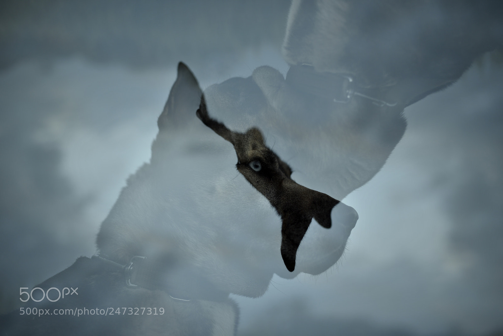 Nikon D750 + Sigma 35mm F1.4 DG HSM Art sample photo. Dsc photography