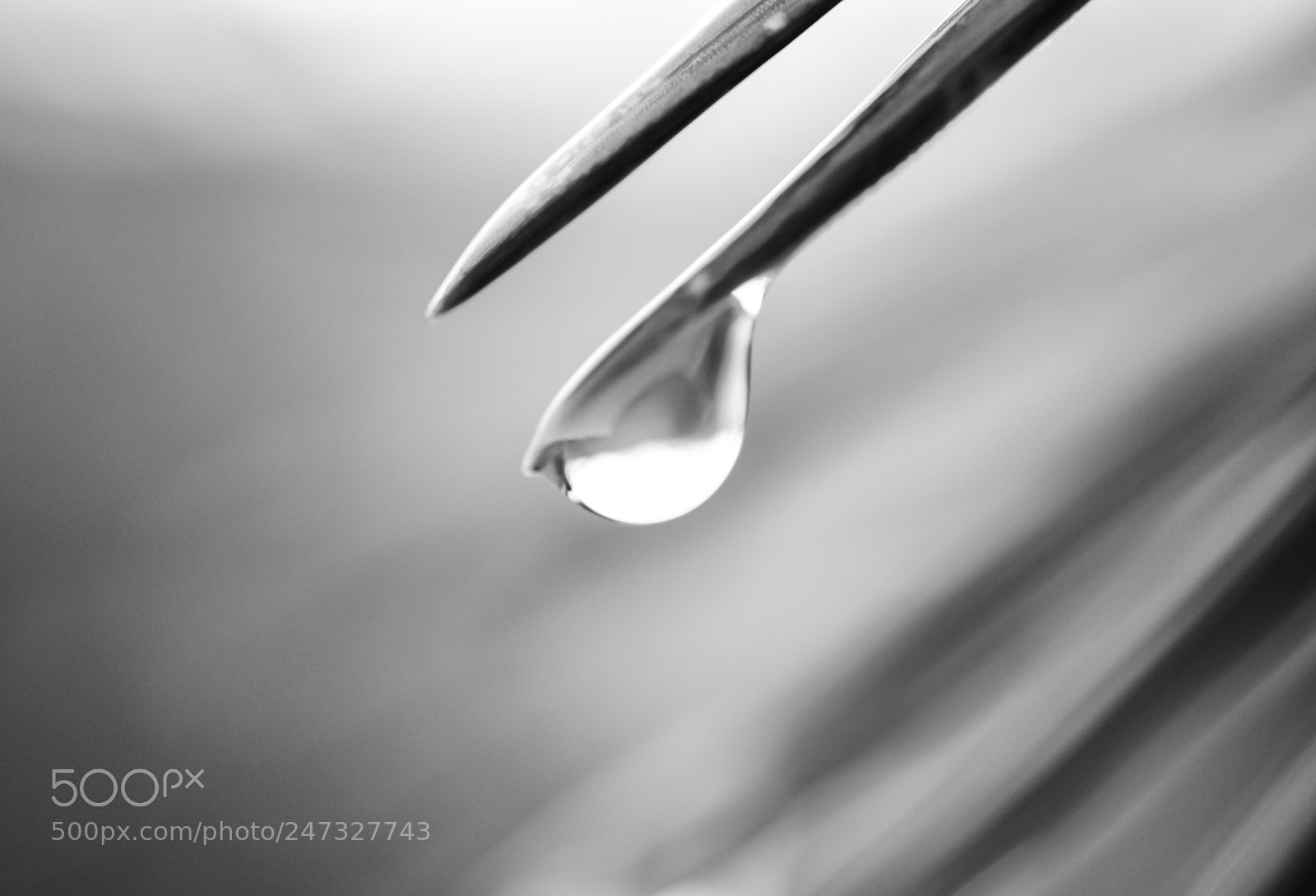 Nikon D90 sample photo. A water droplet photography