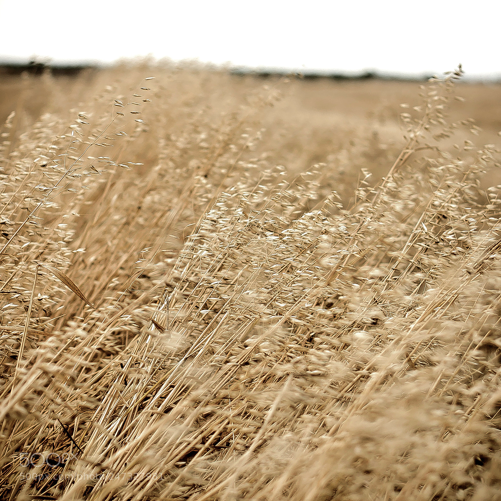 Nikon D90 sample photo. Windy day photography