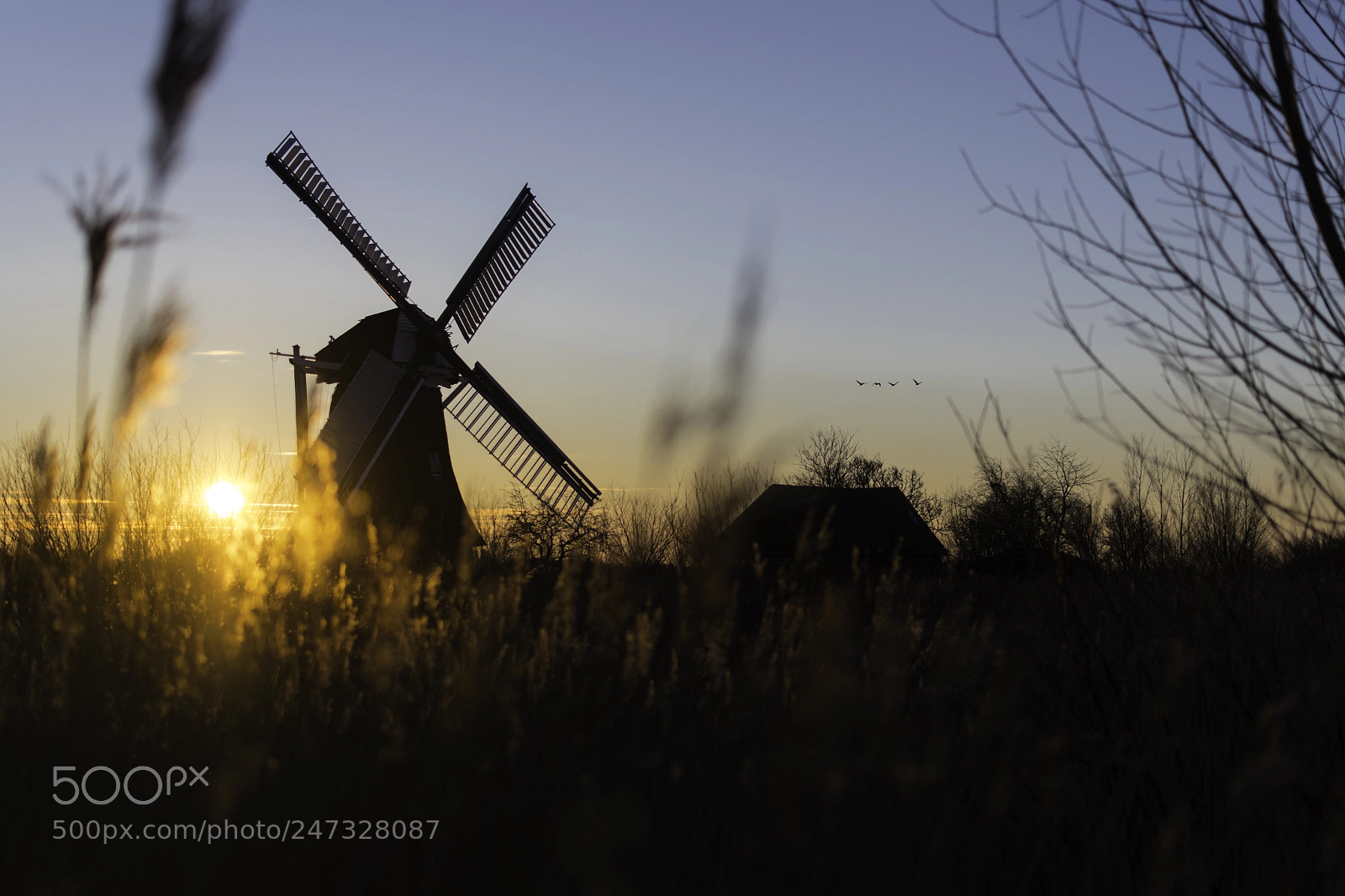 Nikon D500 sample photo. Noordermolen, groningen photography