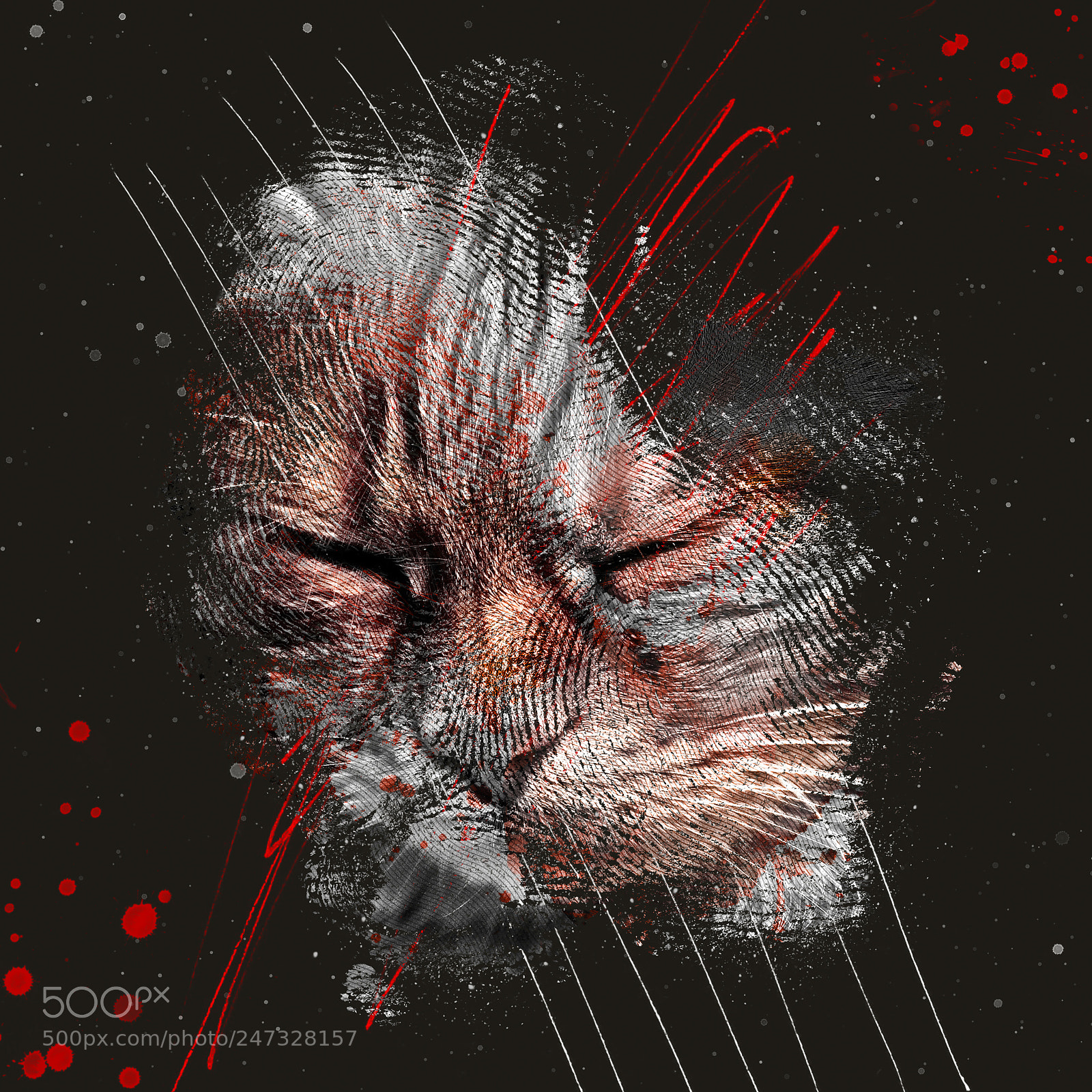 Nikon D7200 sample photo. Cat paint photography