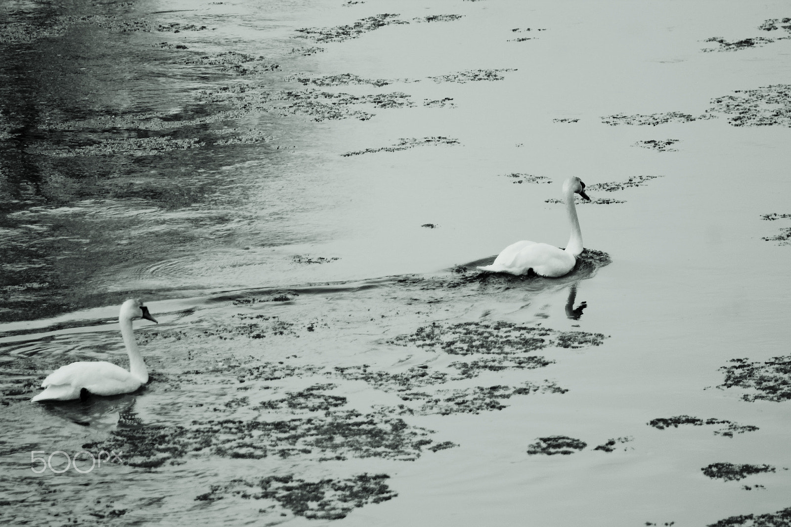 Canon EF 75-300mm f/4-5.6 USM sample photo. To the end of the world, my sweetheart. photography