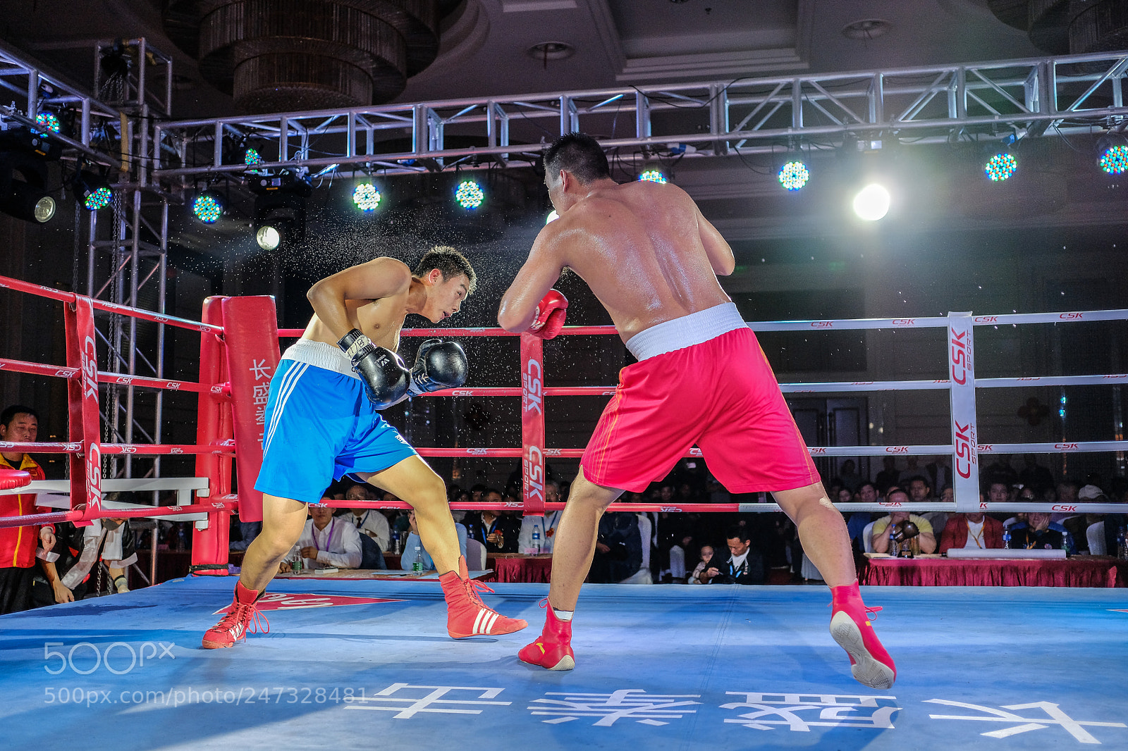 Fujifilm X-Pro2 sample photo. Close call photography