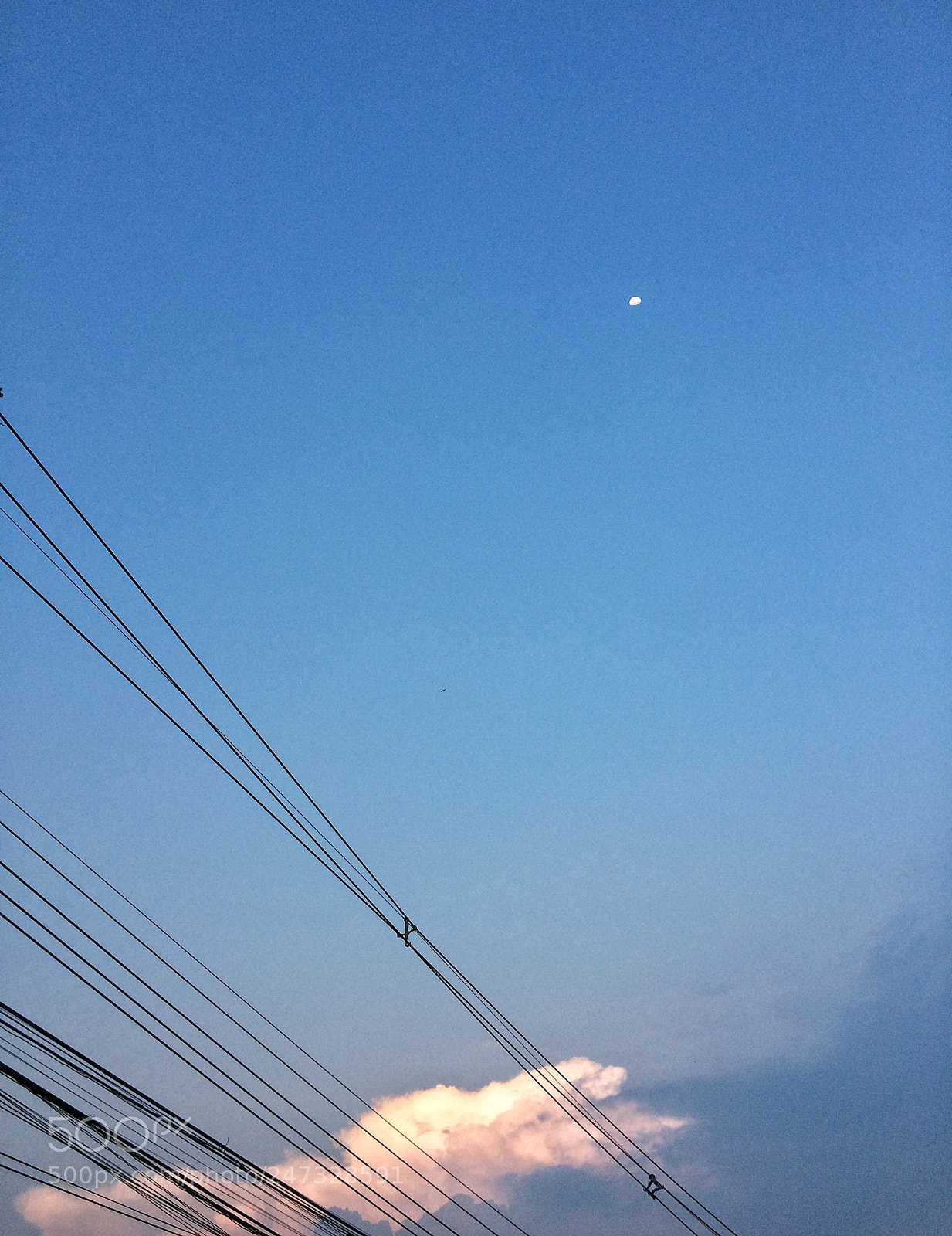 Apple iPhone 5s sample photo. Simplistic photography