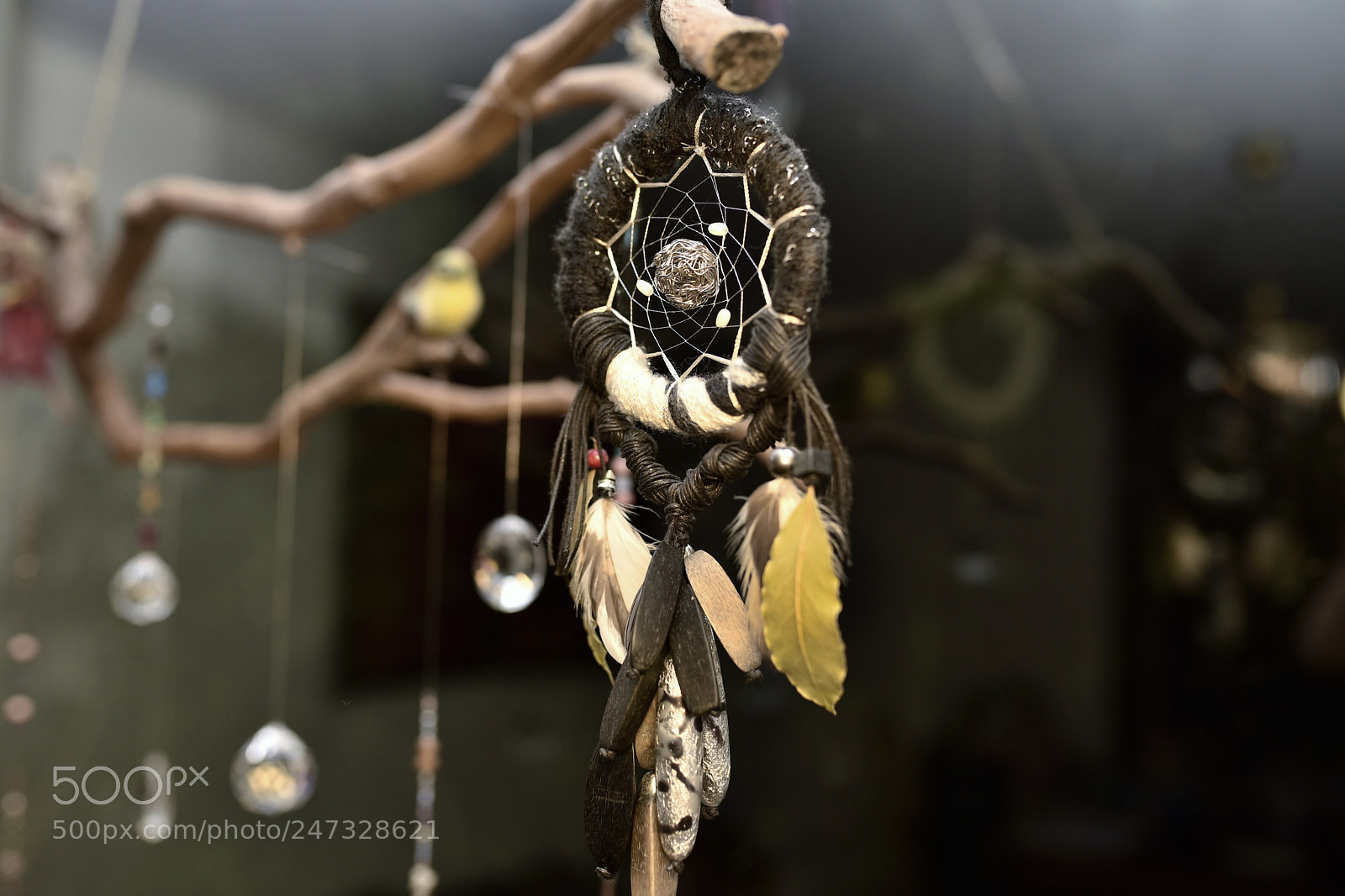 Nikon D750 + Sigma 35mm F1.4 DG HSM Art sample photo. Dsc photography