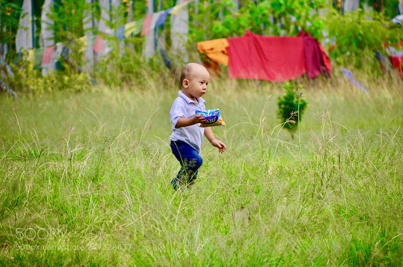 Nikon D5100 sample photo. Playful photography