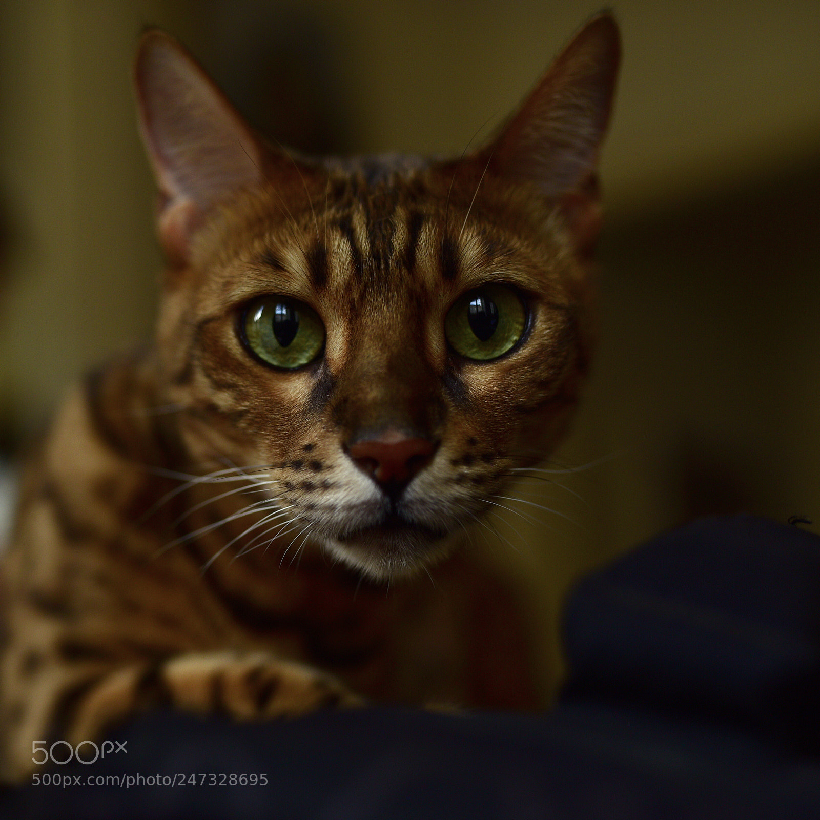 Nikon D750 + Sigma 35mm F1.4 DG HSM Art sample photo. Dsc photography