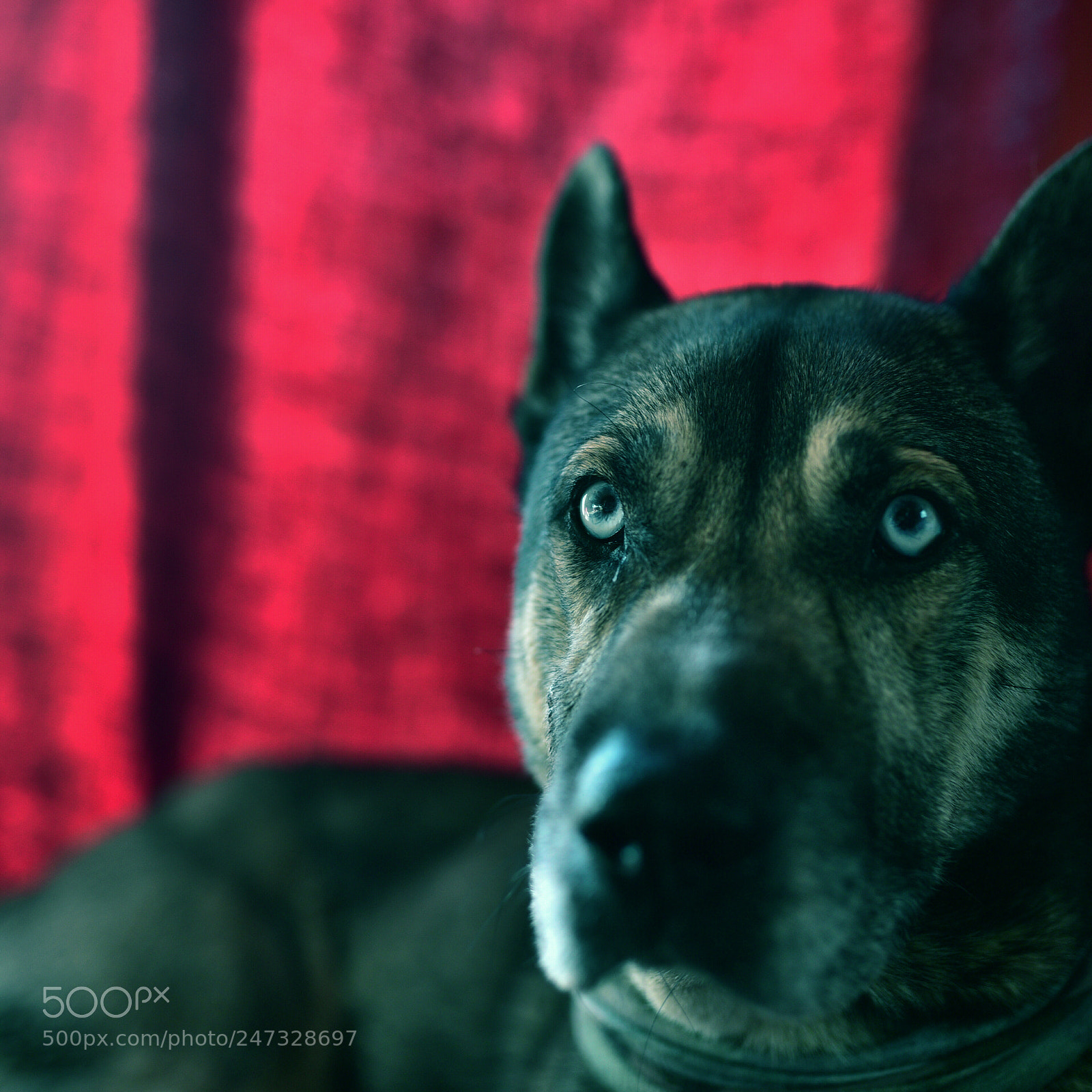 Sigma 35mm F1.4 DG HSM Art sample photo. Dsc photography