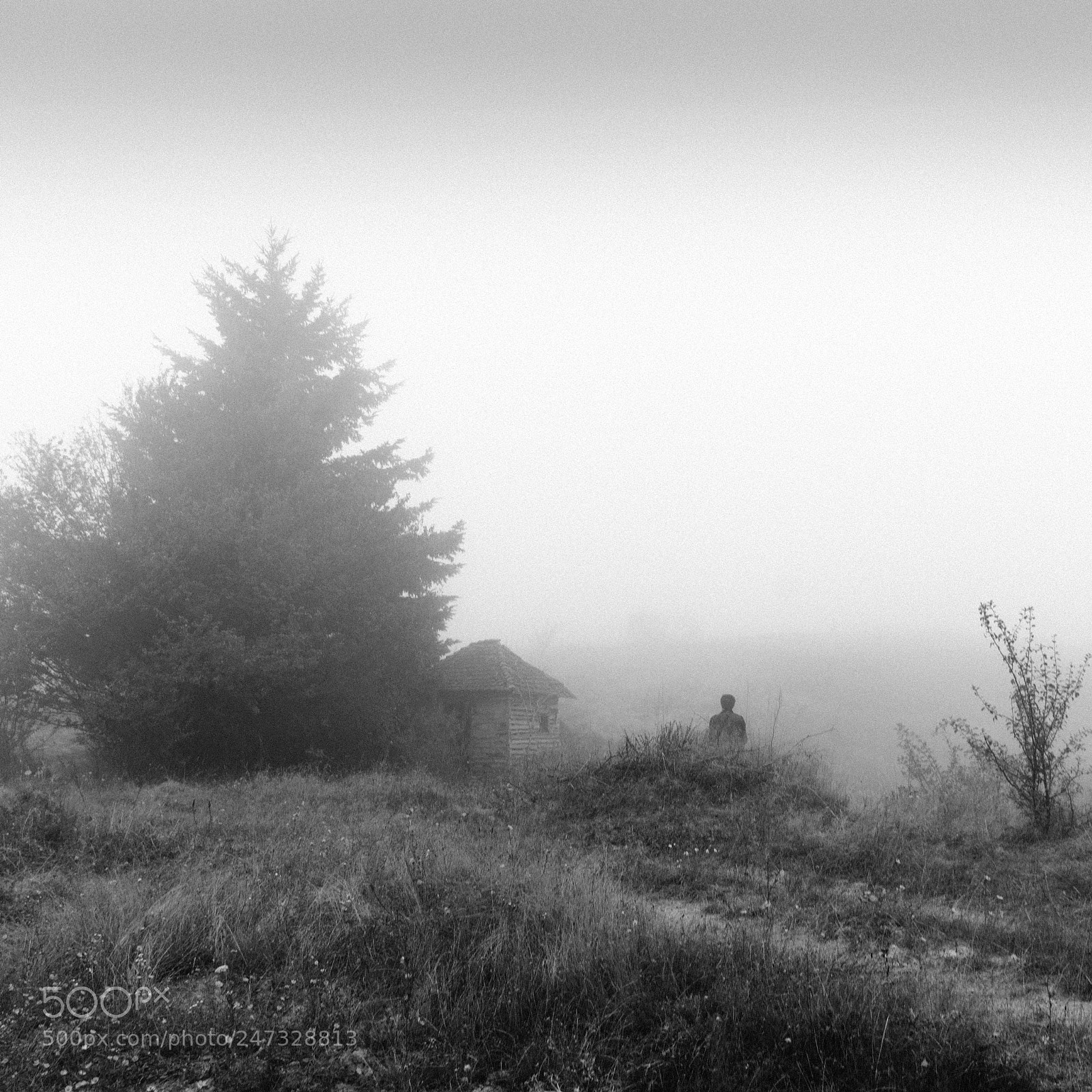 Nikon D3100 sample photo. Foggy day 9 photography