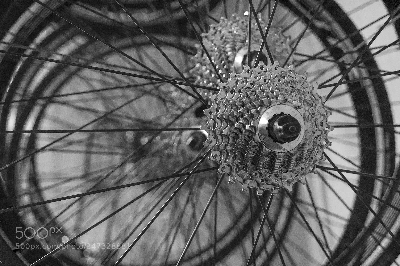 Nikon D90 sample photo. Sram photography