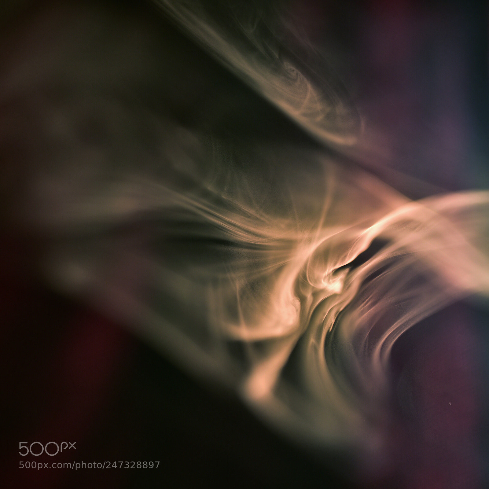 Nikon D750 + Sigma 35mm F1.4 DG HSM Art sample photo. Dsc photography