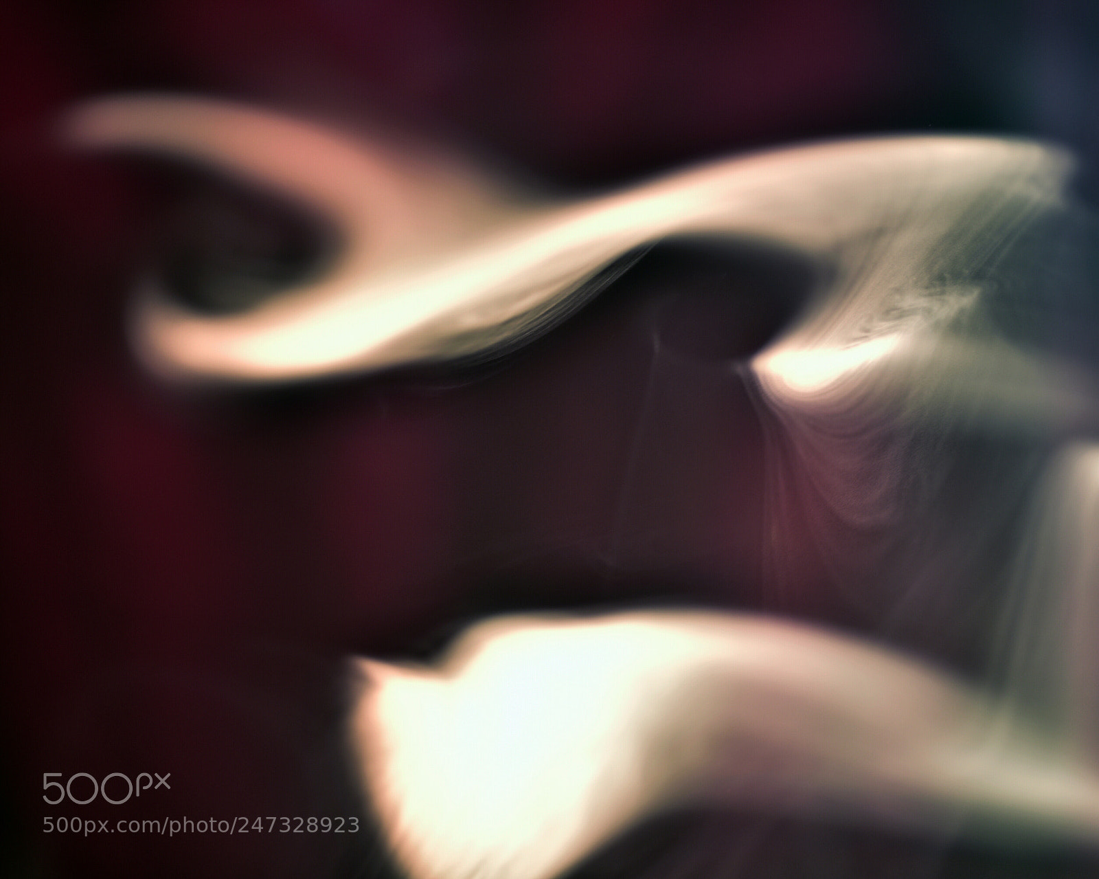 Nikon D750 + Sigma 35mm F1.4 DG HSM Art sample photo. Dsc photography