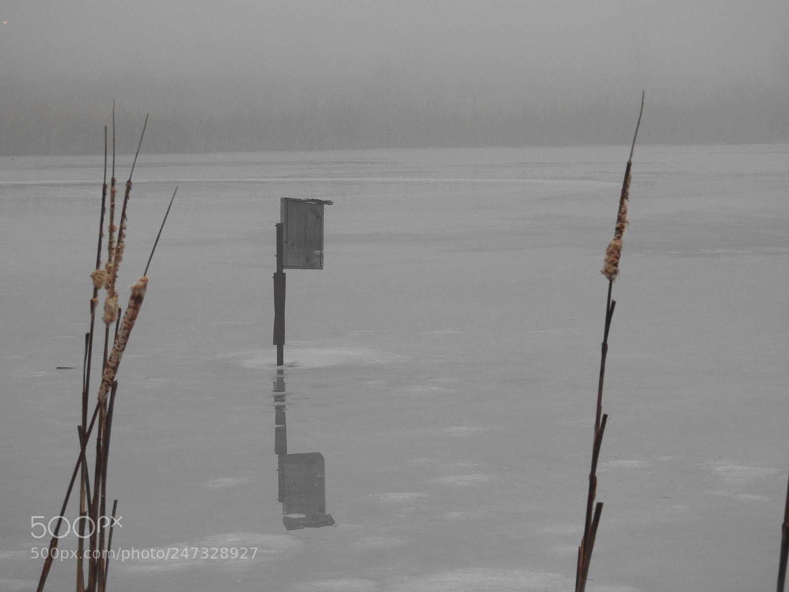 Nikon Coolpix P900 sample photo. Ice on pond photography