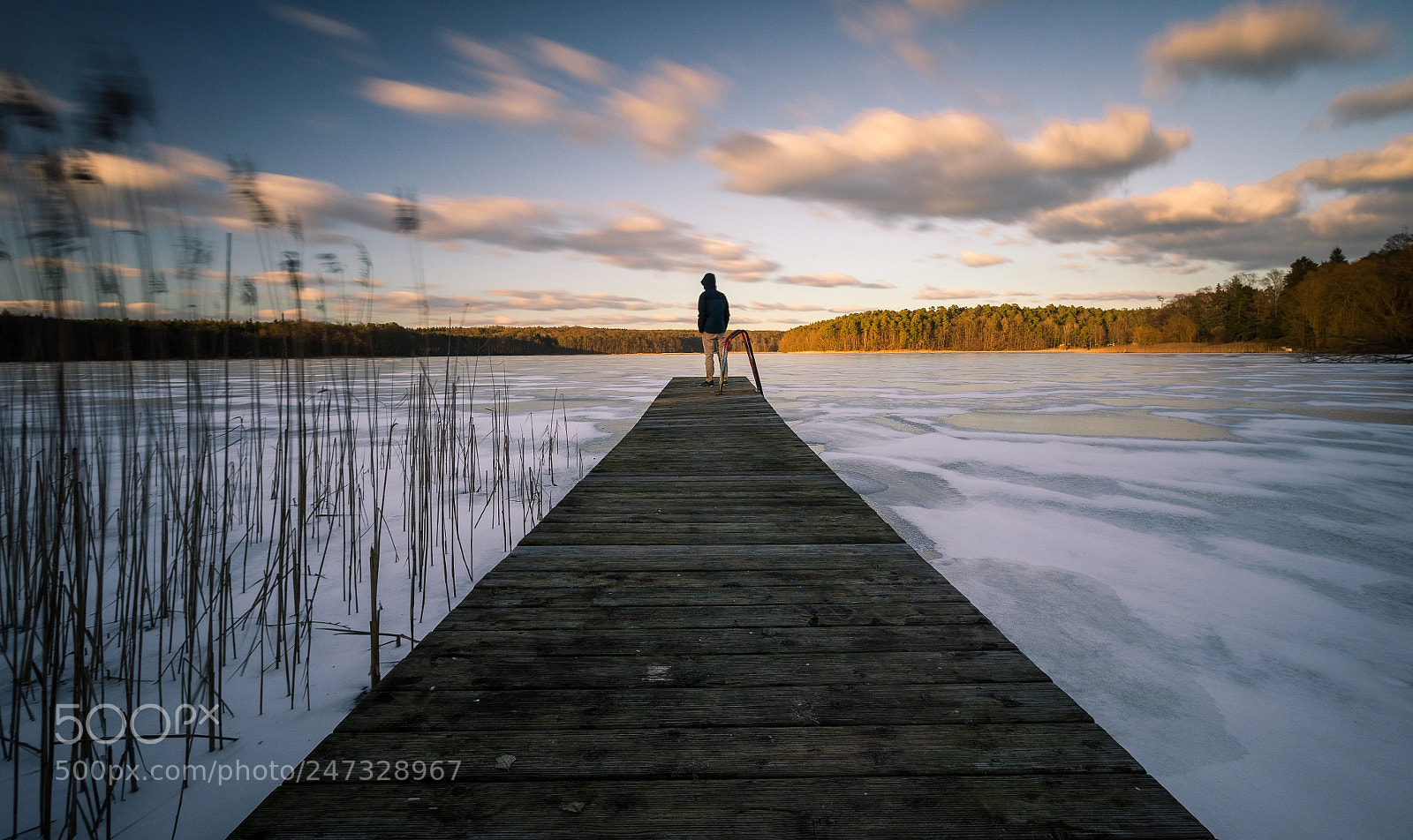 Sony a7R sample photo. Winter mood photography