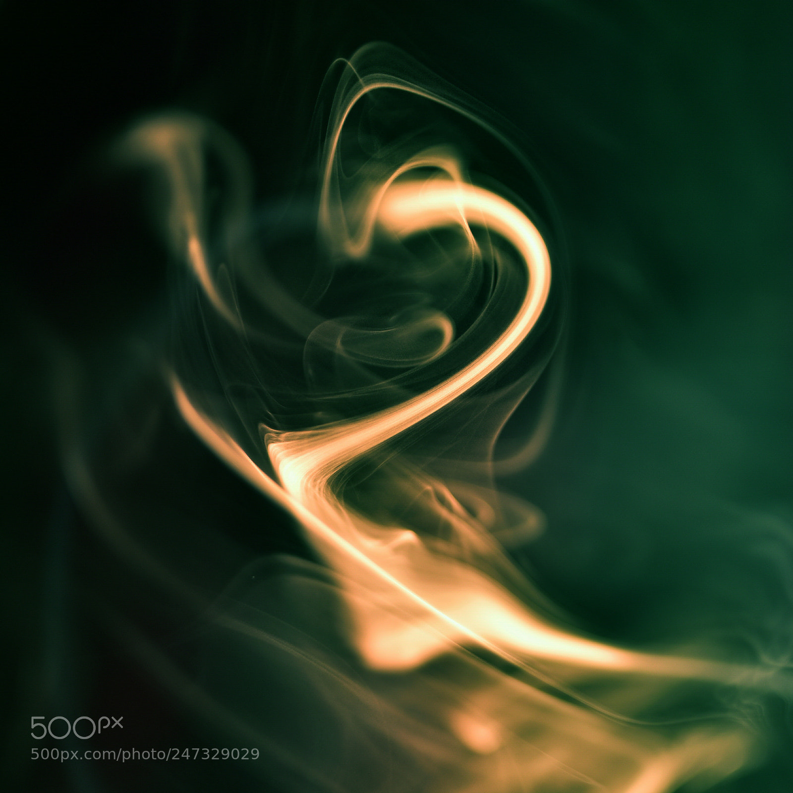 Nikon D750 + Sigma 35mm F1.4 DG HSM Art sample photo. Dsc photography