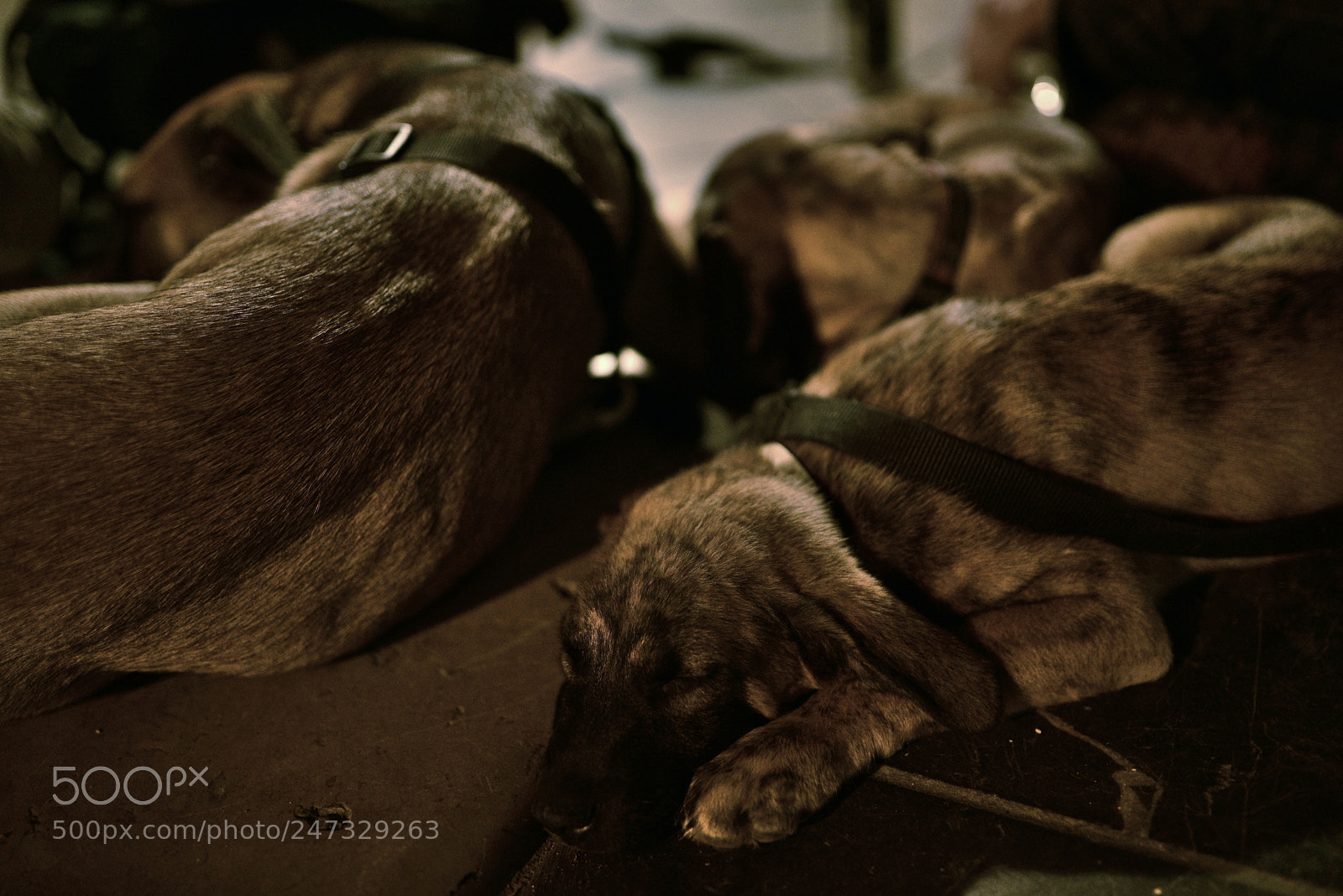 Nikon D750 + Sigma 35mm F1.4 DG HSM Art sample photo. Dsc photography