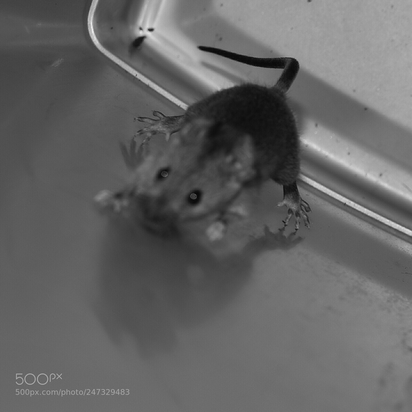 Nikon D750 + Sigma 35mm F1.4 DG HSM Art sample photo. Dsc photography