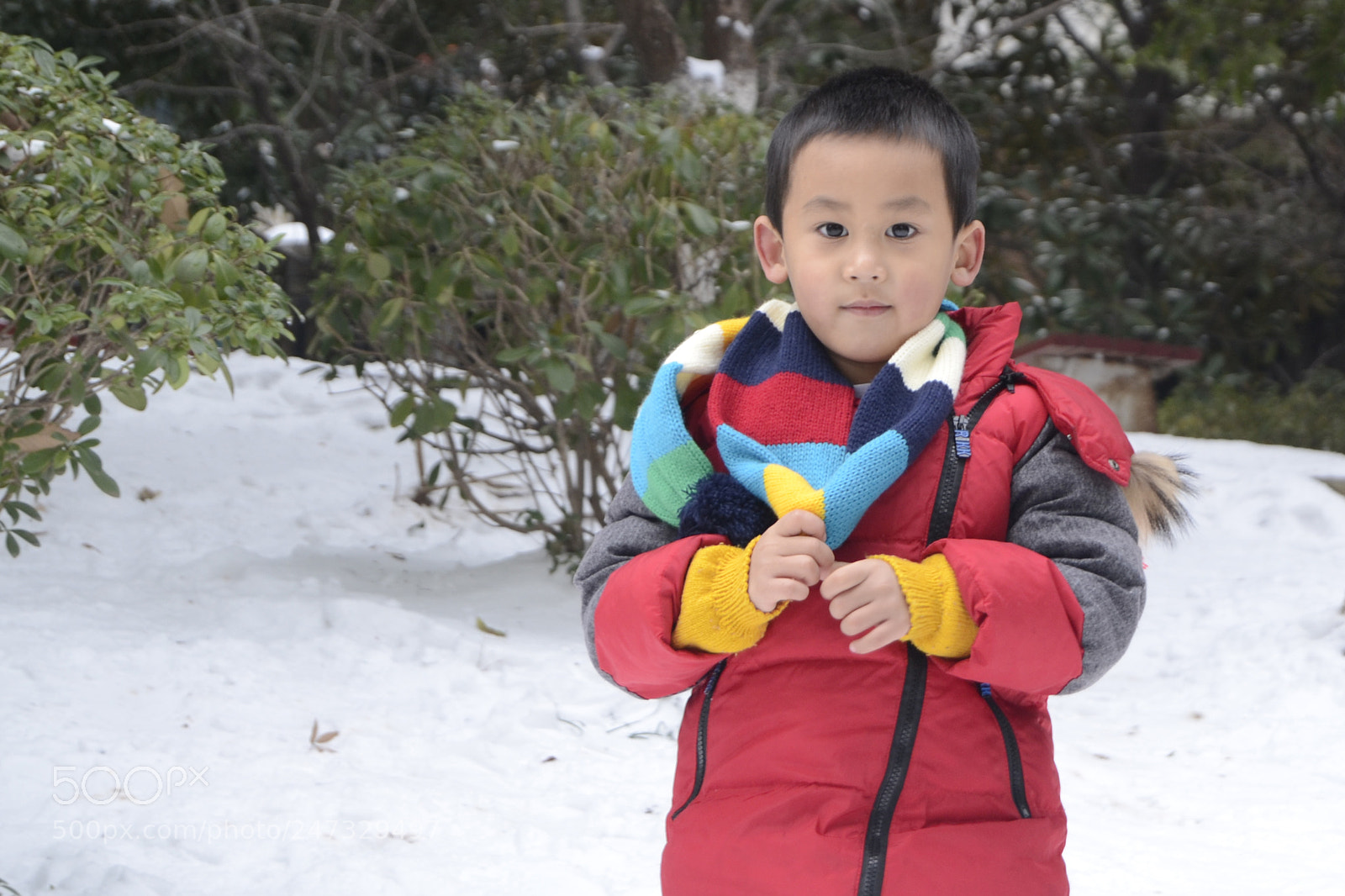 Nikon D3100 sample photo. 副本 photography