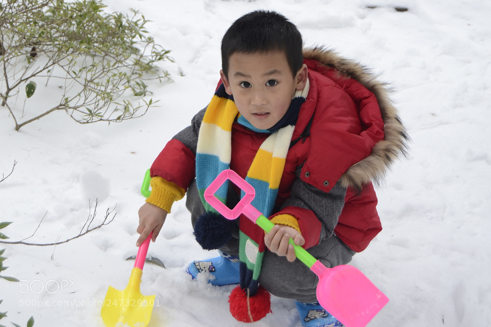 Nikon D3100 sample photo. 副本 photography