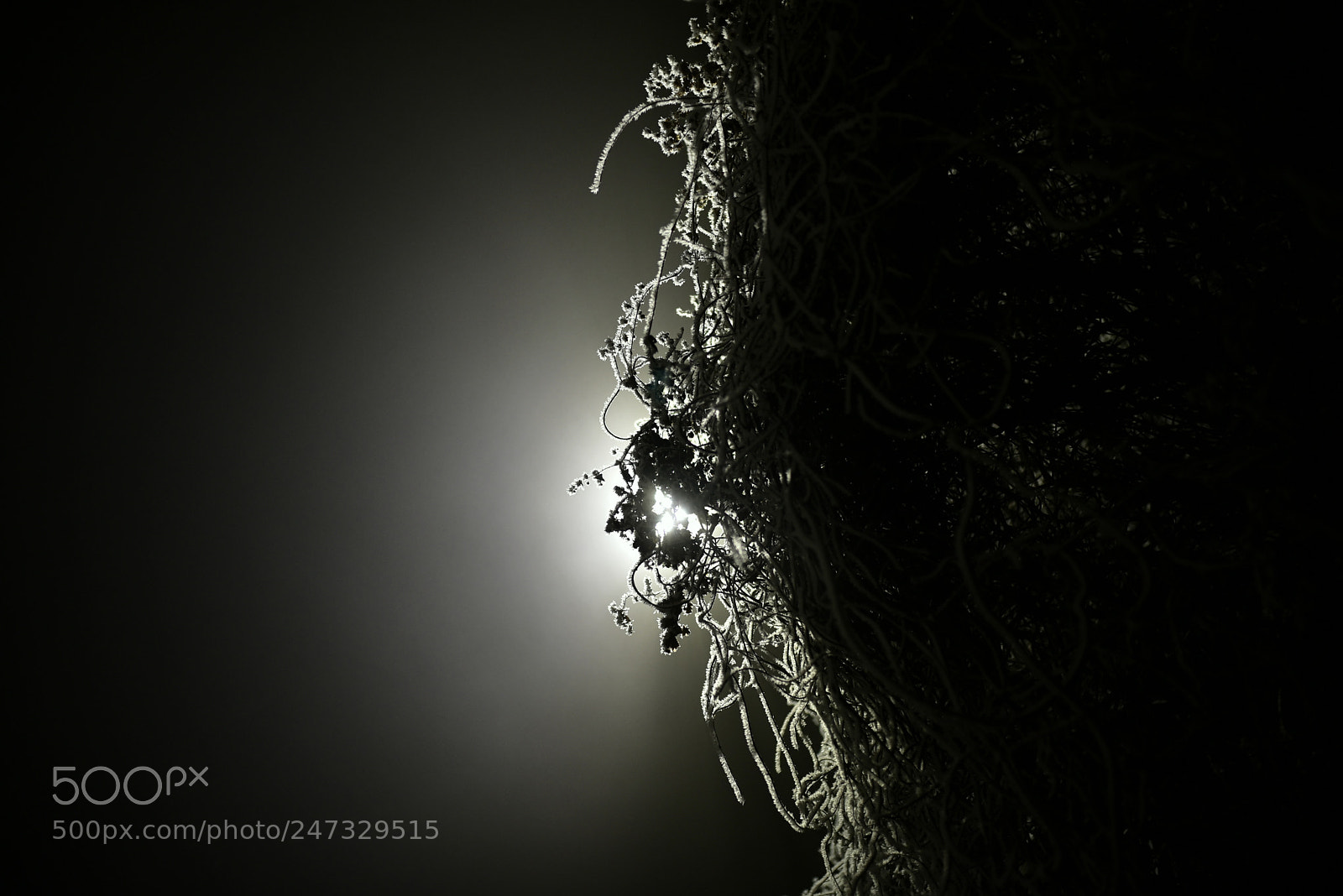 Nikon D750 + Sigma 35mm F1.4 DG HSM Art sample photo. Dsc photography