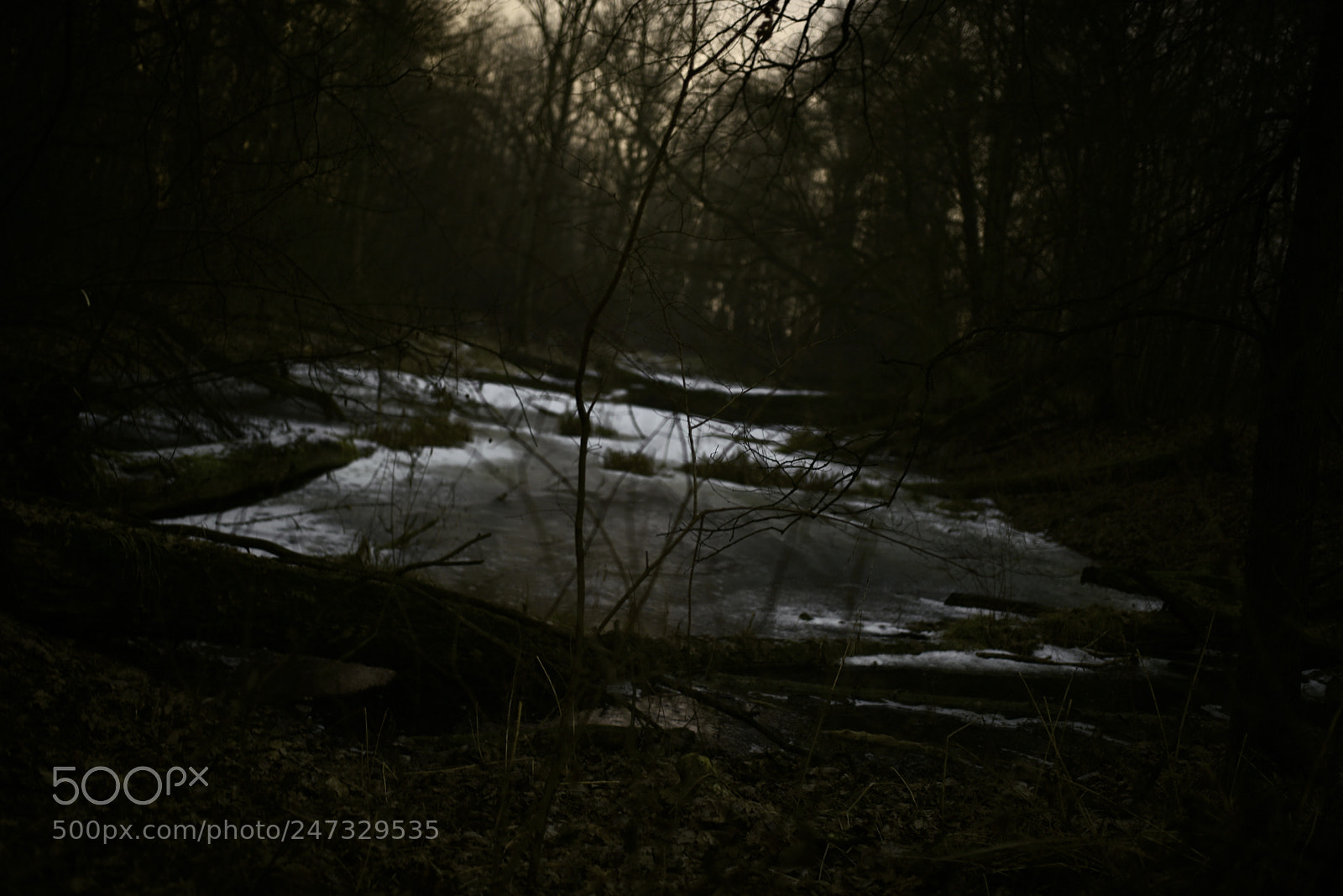 Nikon D750 + Sigma 35mm F1.4 DG HSM Art sample photo. Dsc photography