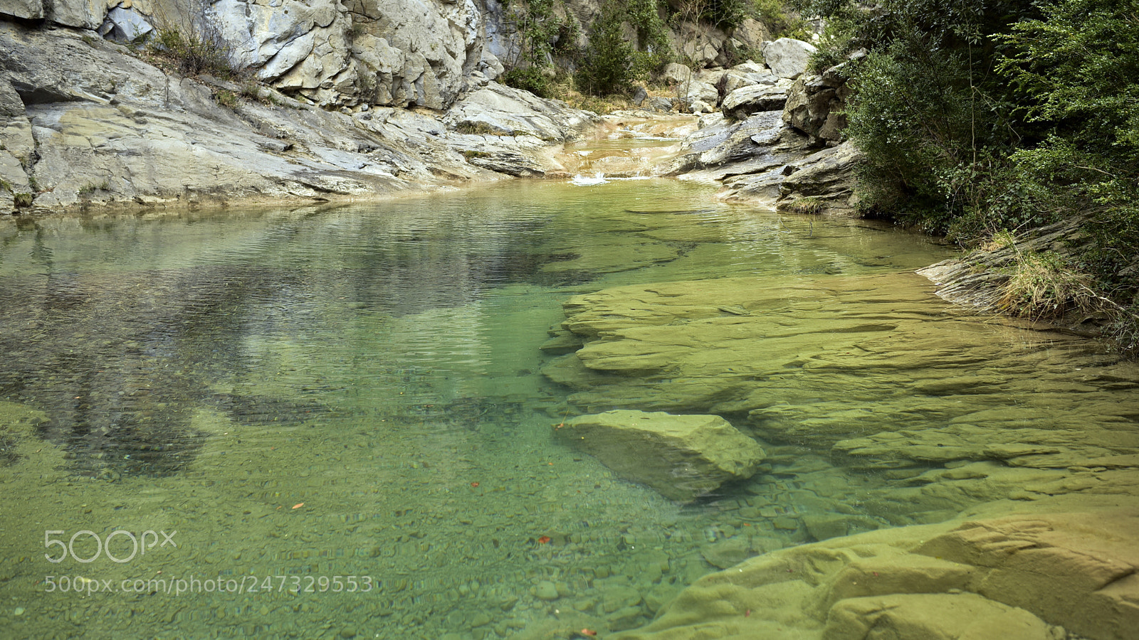 Nikon D750 + Sigma 35mm F1.4 DG HSM Art sample photo. Dsc photography