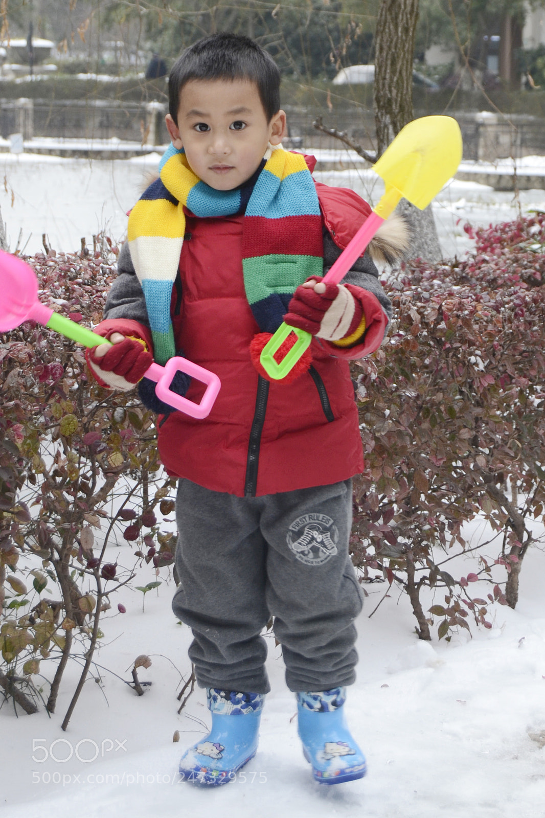Nikon D3100 sample photo. 副本 photography