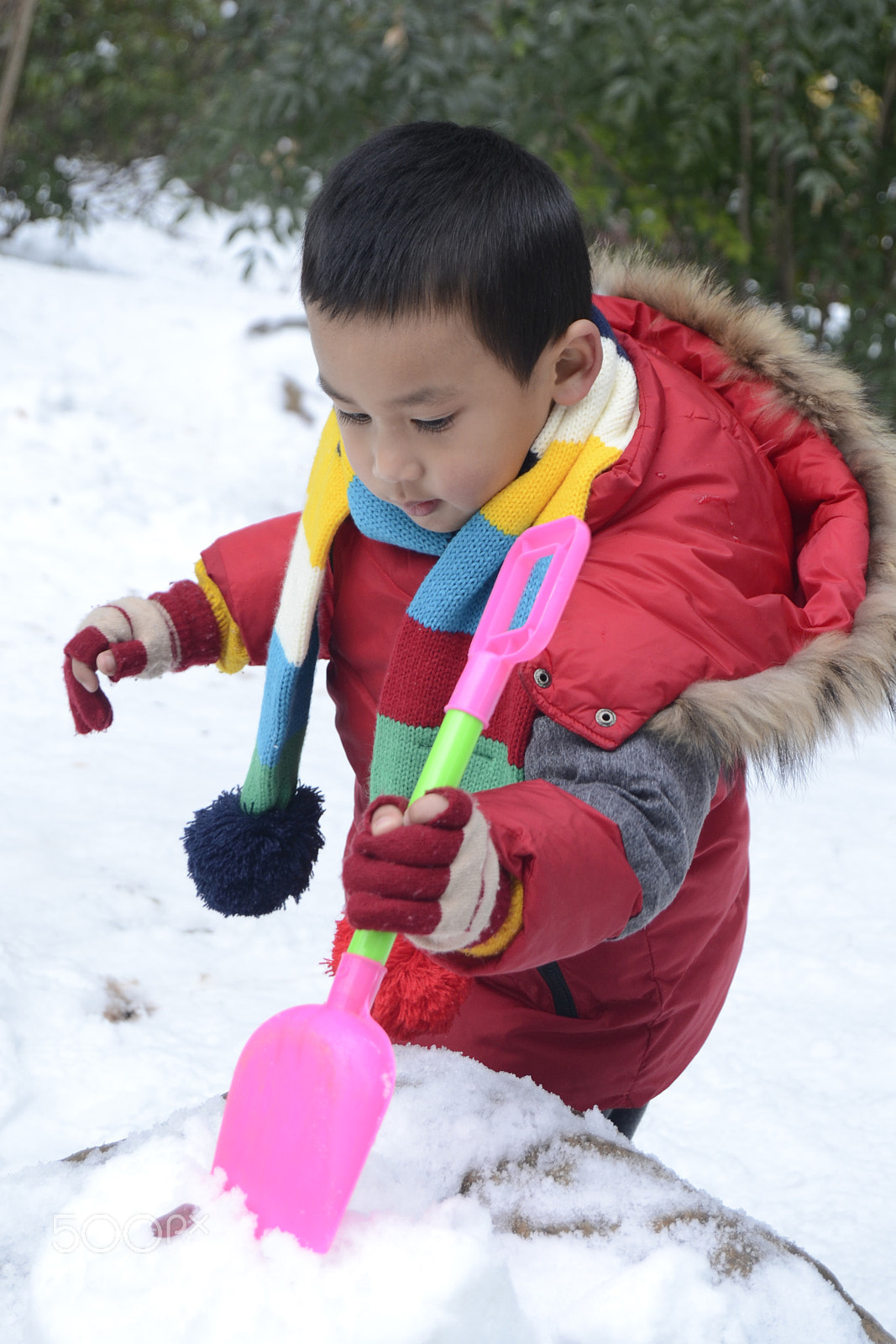 Nikon D3100 sample photo. 副本 photography