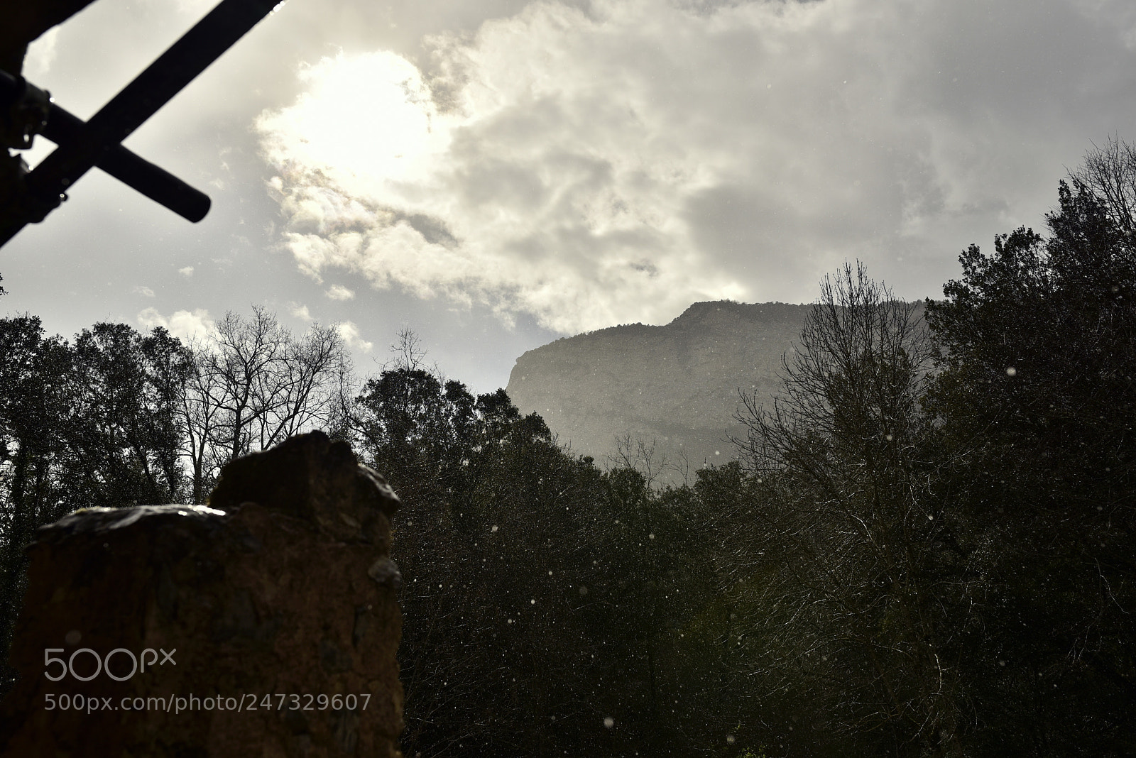 Nikon D750 + Sigma 35mm F1.4 DG HSM Art sample photo. Dsc photography