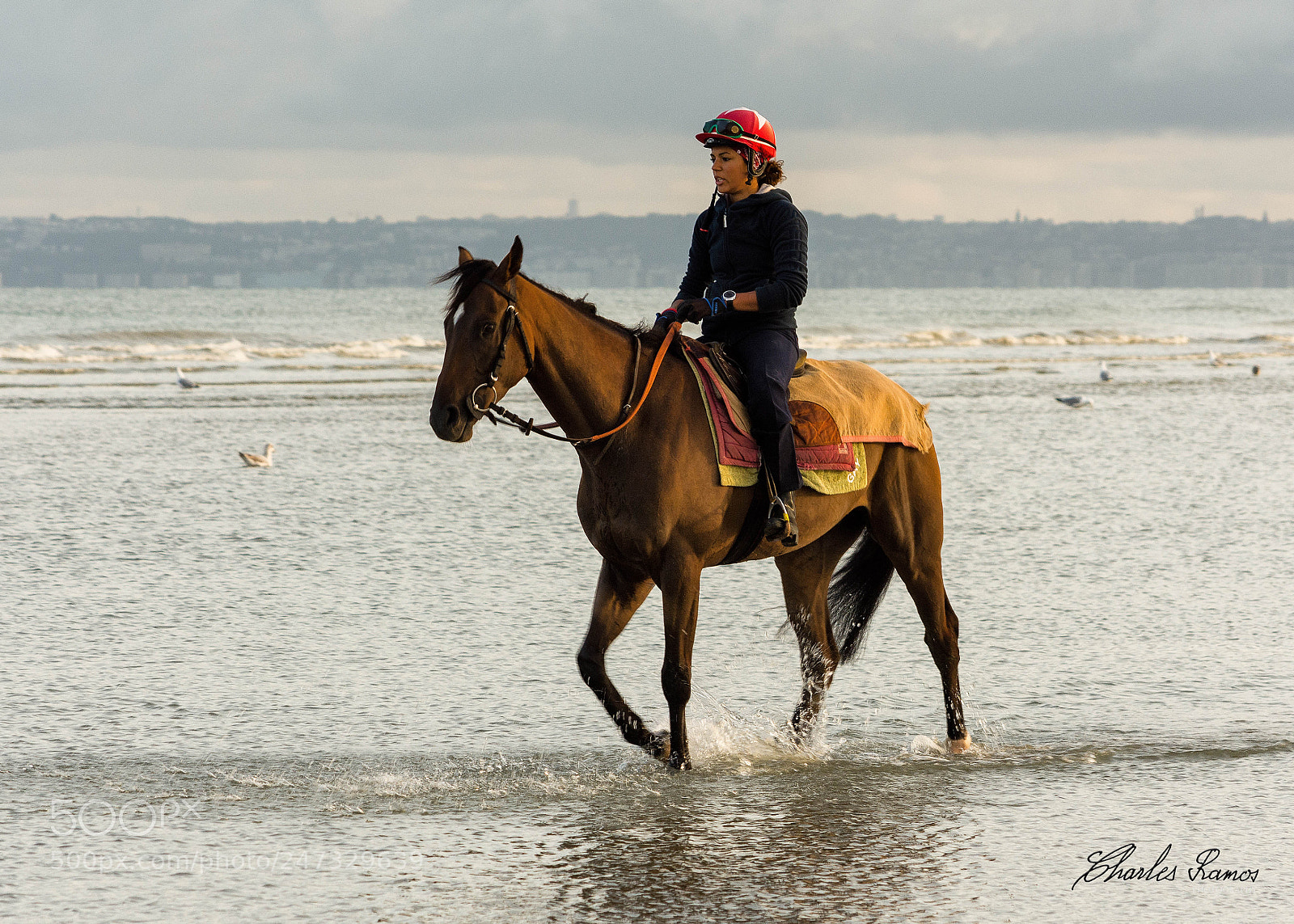 Nikon D7200 sample photo. La bombe rouge photography