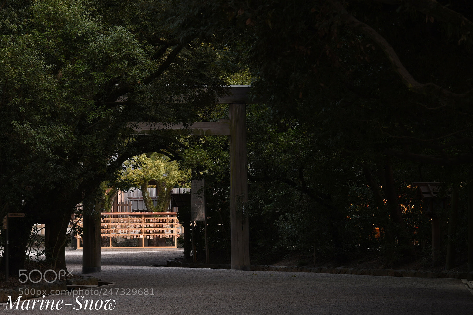Nikon D7200 sample photo. Atuta jingu (shinto shrine) photography