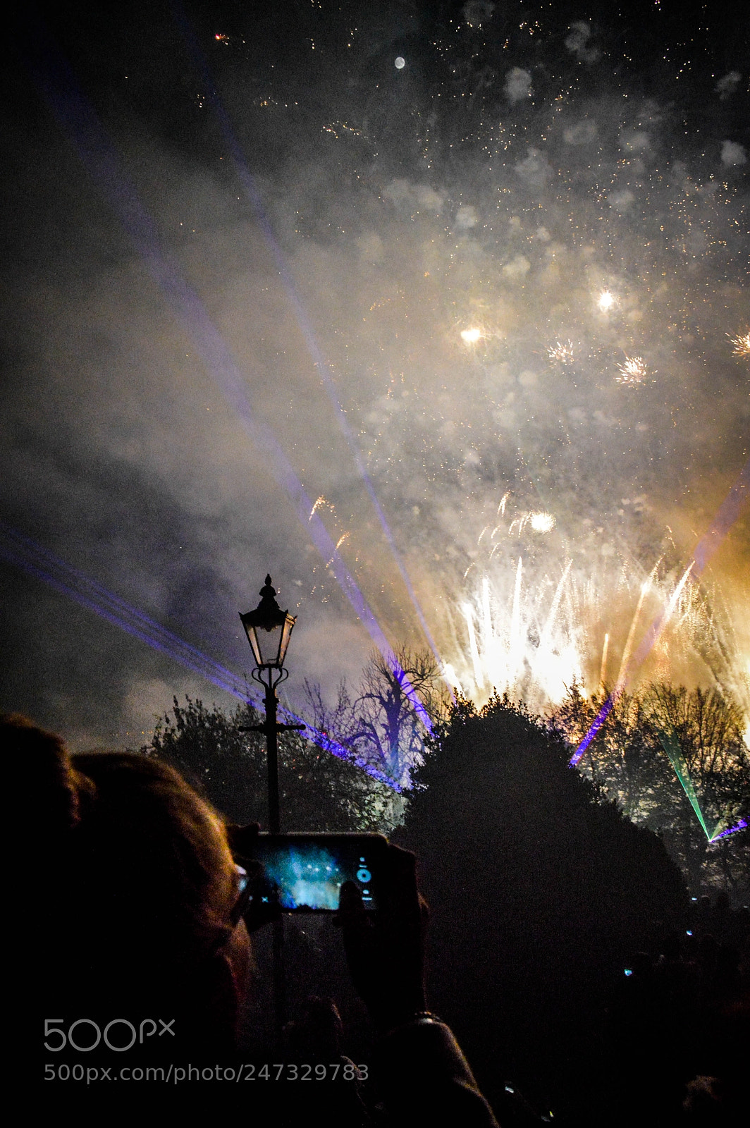Nikon D3200 sample photo. 5th of november photography