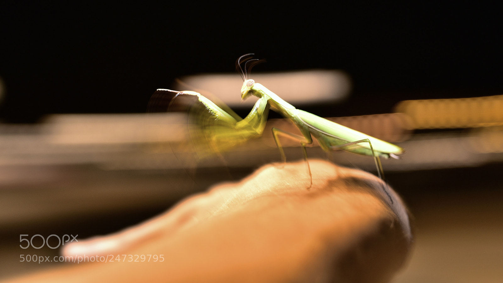 Nikon D750 + Sigma 35mm F1.4 DG HSM Art sample photo. Dsc photography