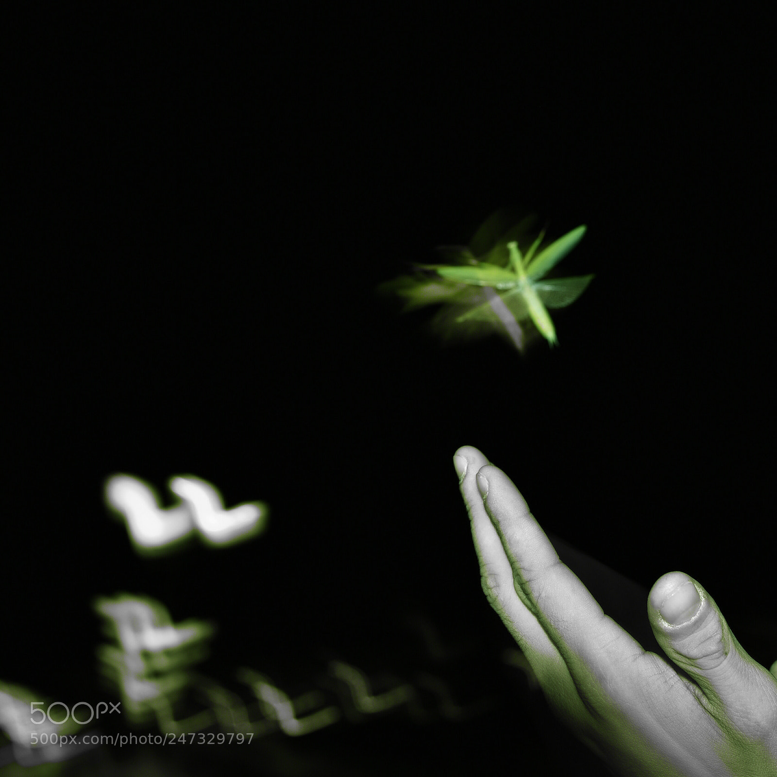 Nikon D750 + Sigma 35mm F1.4 DG HSM Art sample photo. Dsc photography