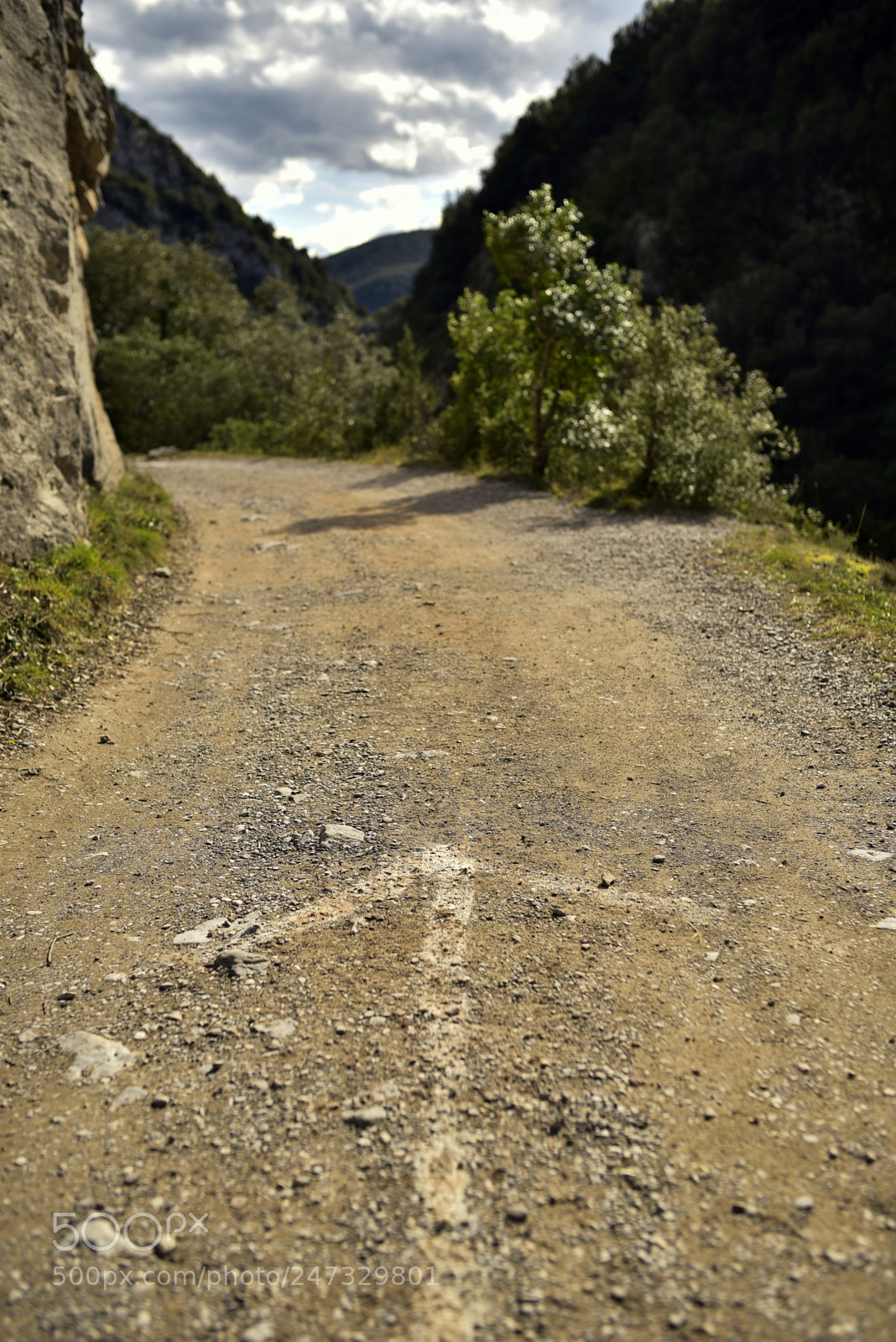 Nikon D750 + Sigma 35mm F1.4 DG HSM Art sample photo. Dsc photography