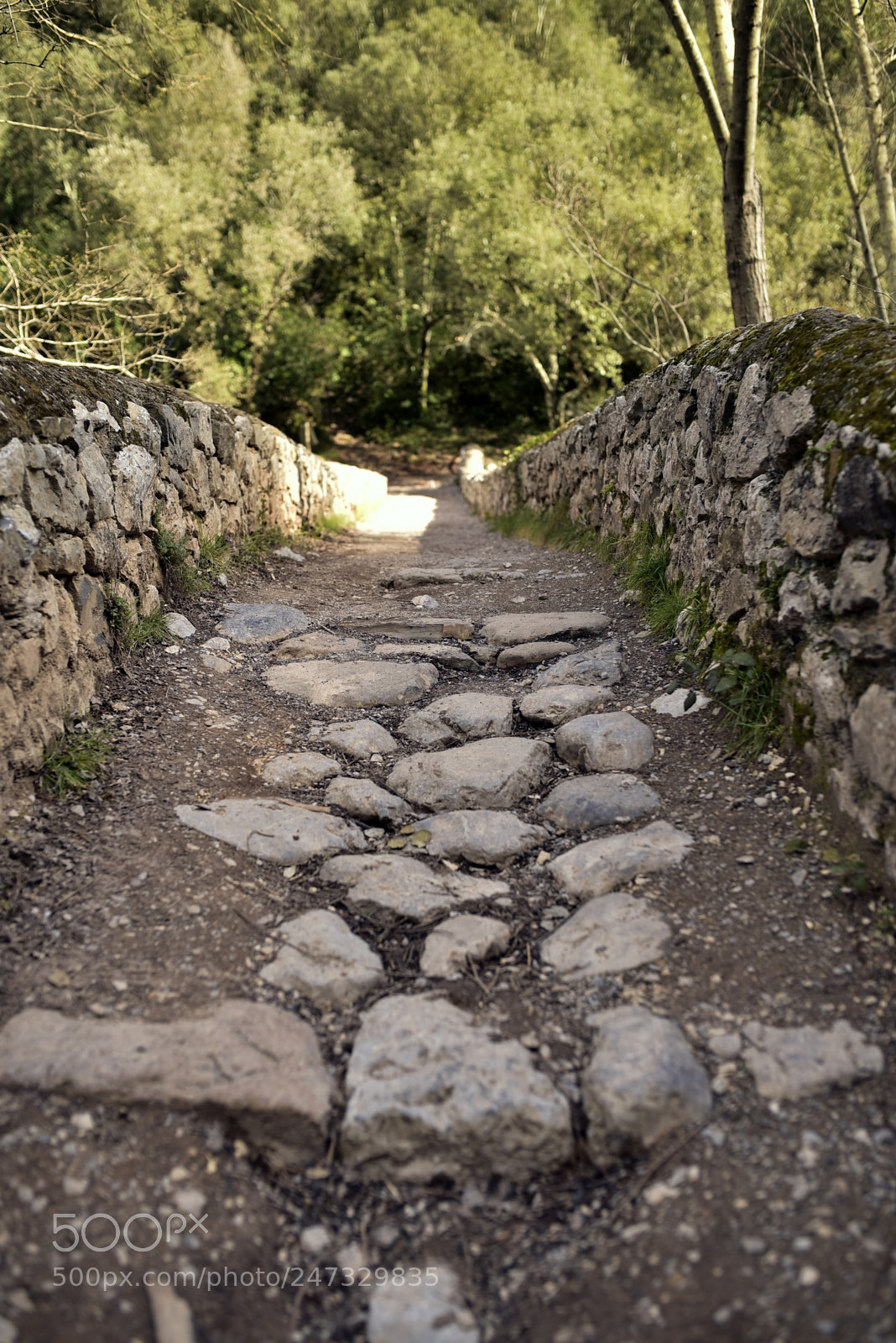 Nikon D750 + Sigma 35mm F1.4 DG HSM Art sample photo. Dsc photography