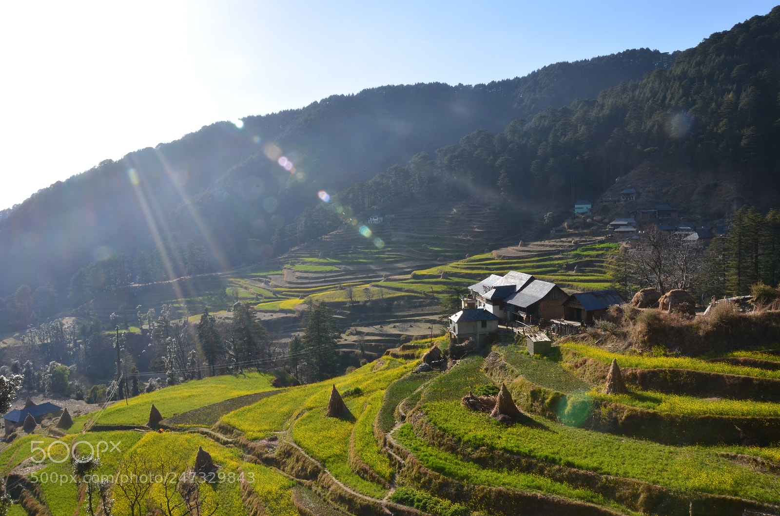 Nikon D5100 sample photo. Kainthly view photography