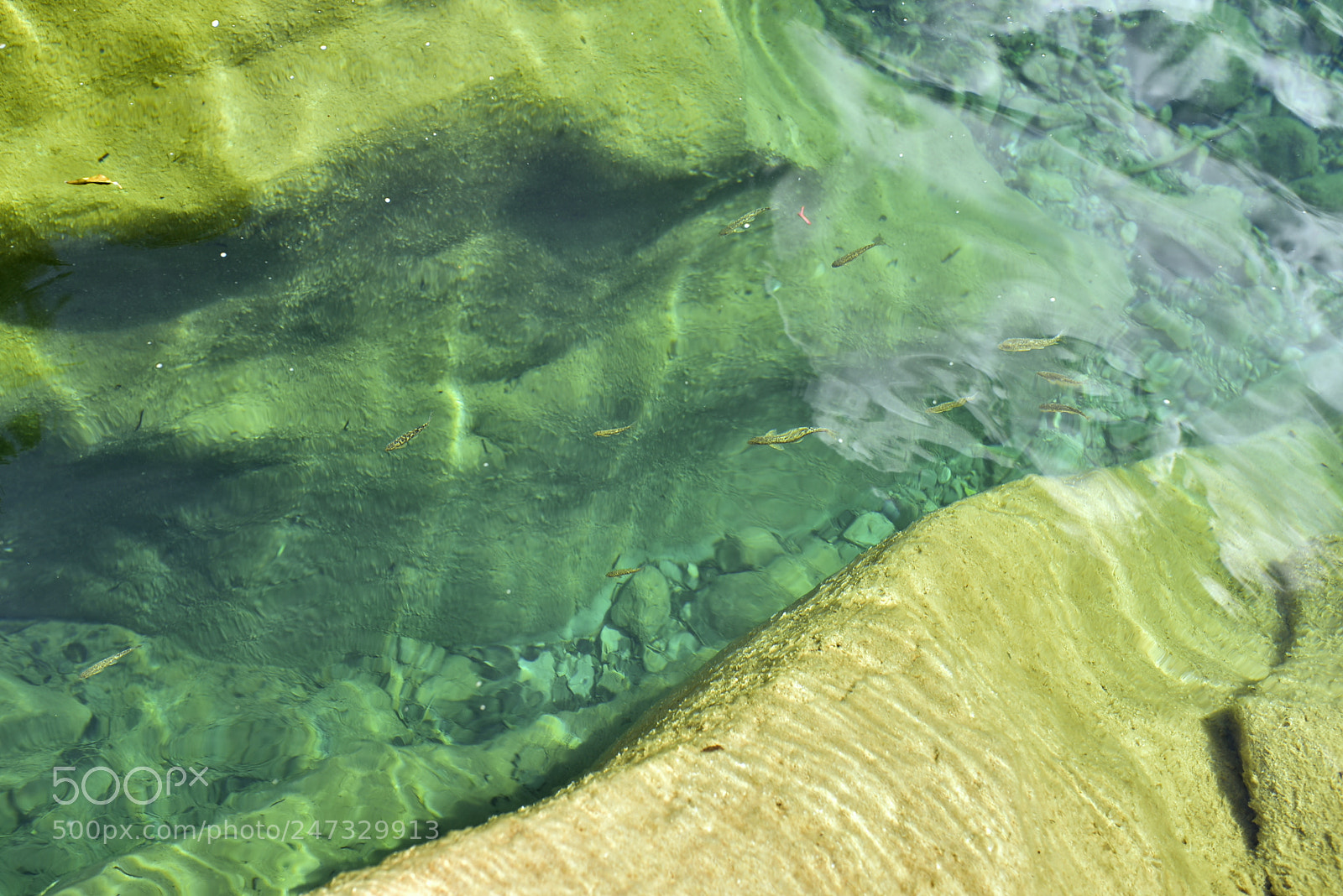 Nikon D750 + Sigma 35mm F1.4 DG HSM Art sample photo. Dsc photography