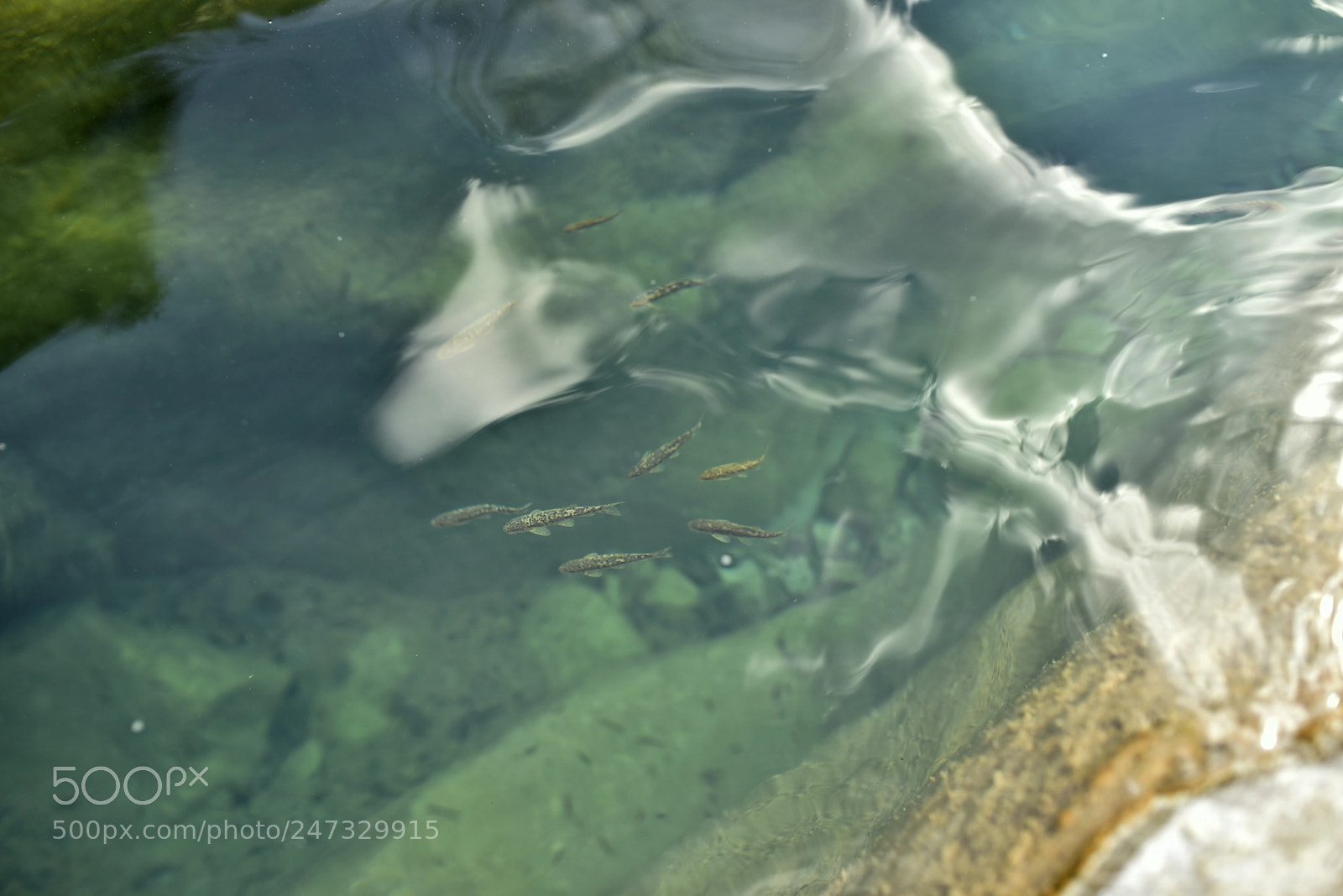 Nikon D750 + Sigma 35mm F1.4 DG HSM Art sample photo. Dsc photography