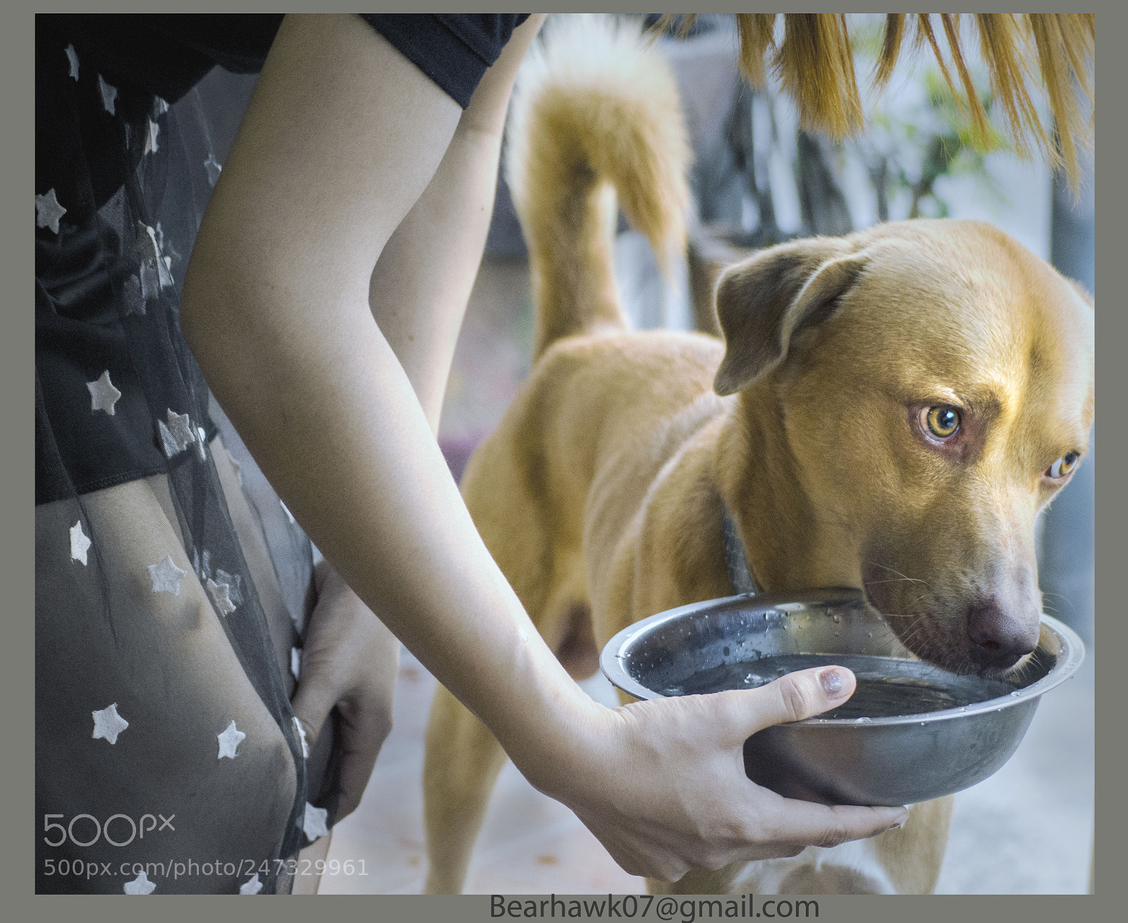 Nikon D7200 sample photo. Thirsty mammal photography