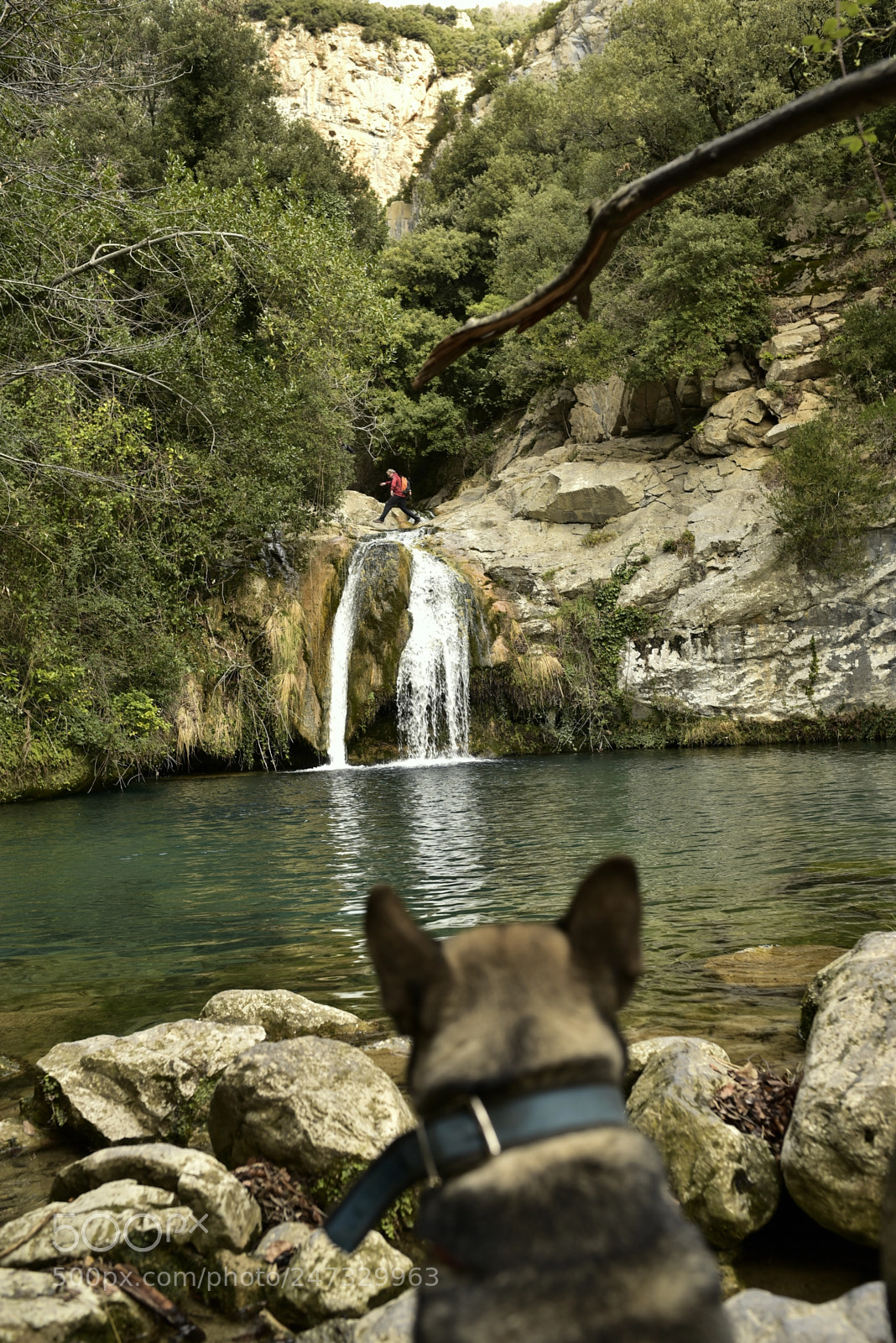 Nikon D750 + Sigma 35mm F1.4 DG HSM Art sample photo. Dsc photography