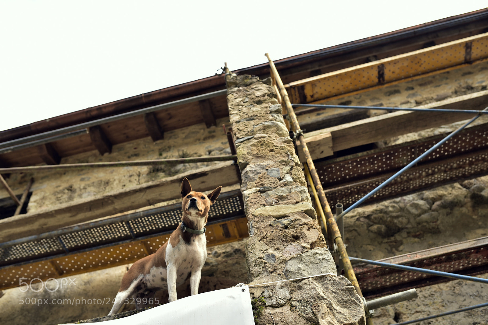 Nikon D750 + Sigma 35mm F1.4 DG HSM Art sample photo. Dsc photography