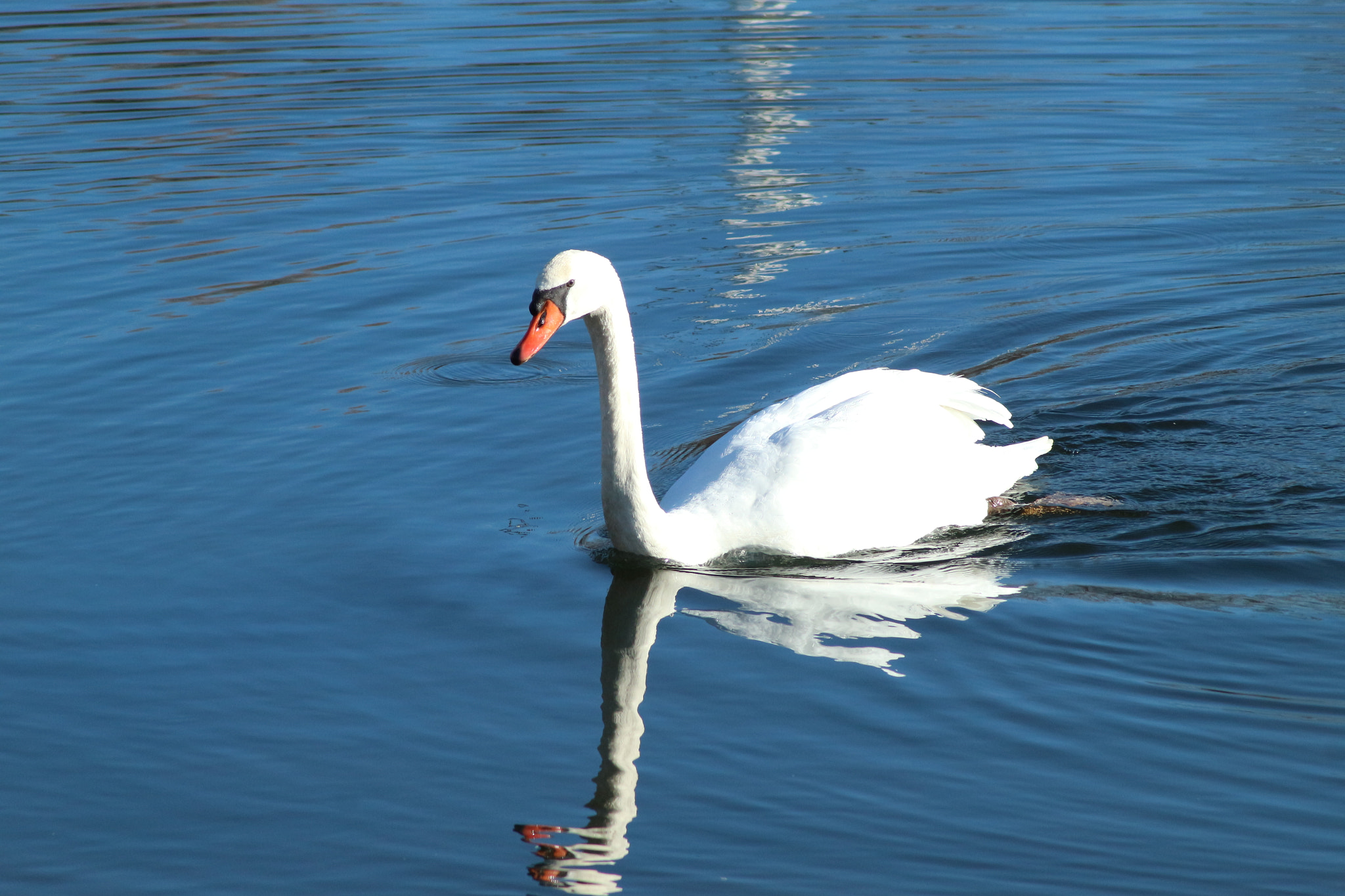 Canon EOS M10 sample photo. Img photography