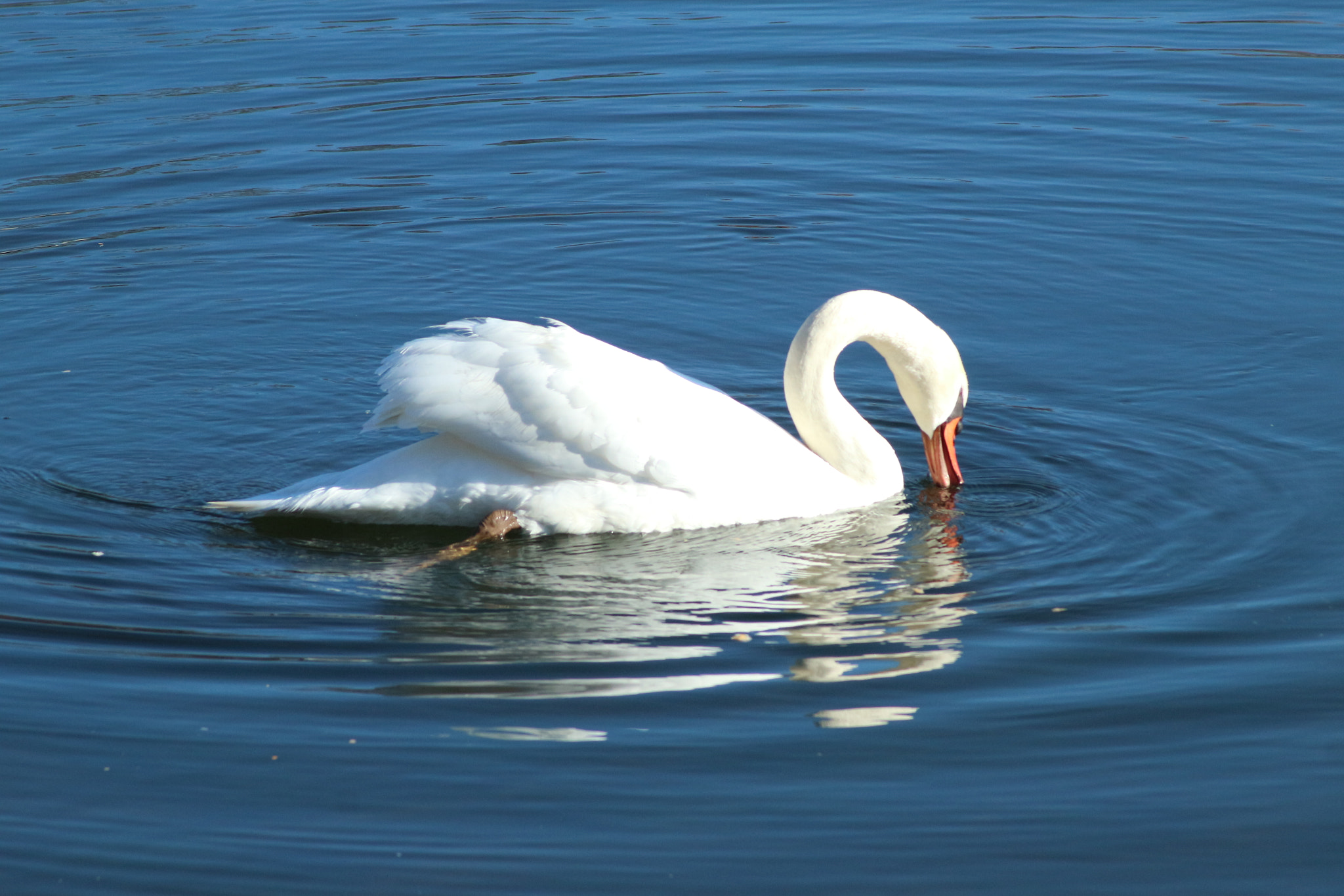 Canon EOS M10 sample photo. Img photography
