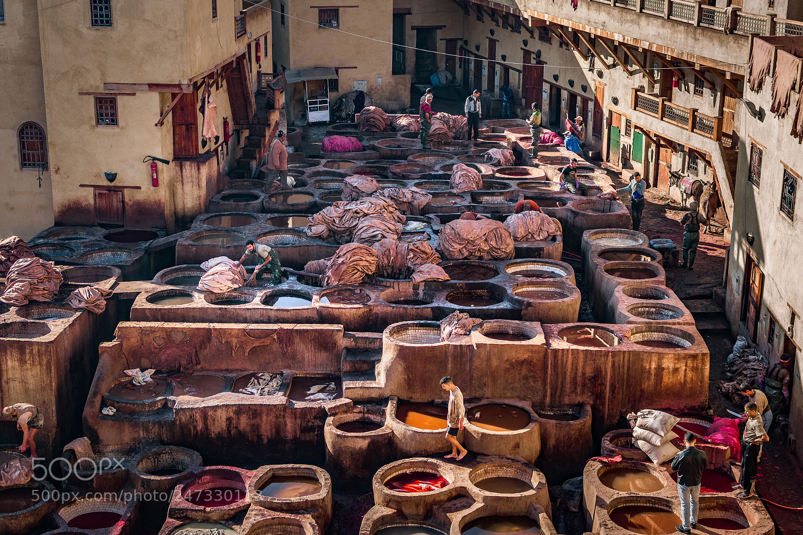 Nikon D500 sample photo. Chaouwara tanneries in fez photography